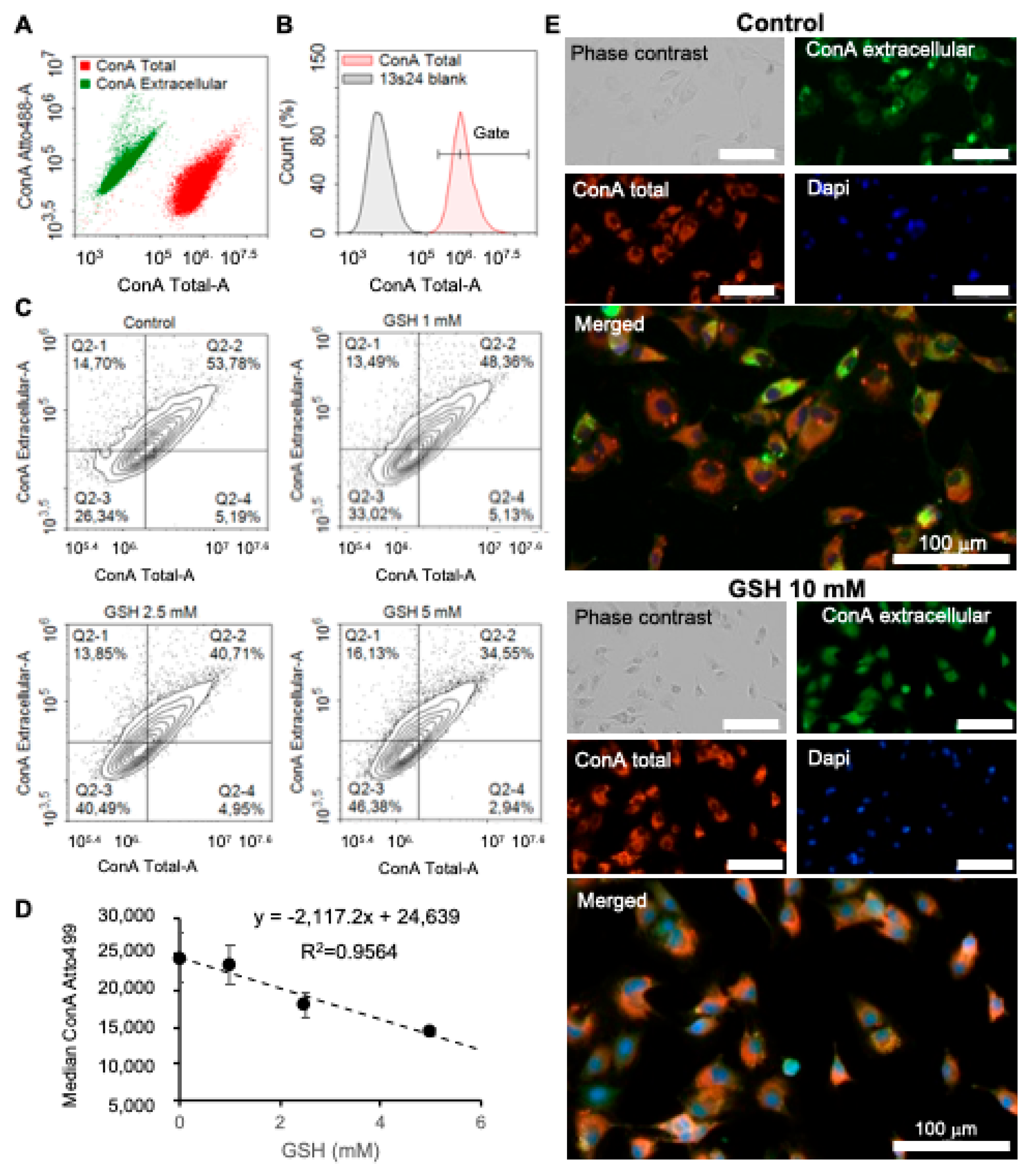 Applsci 15 00908 g005