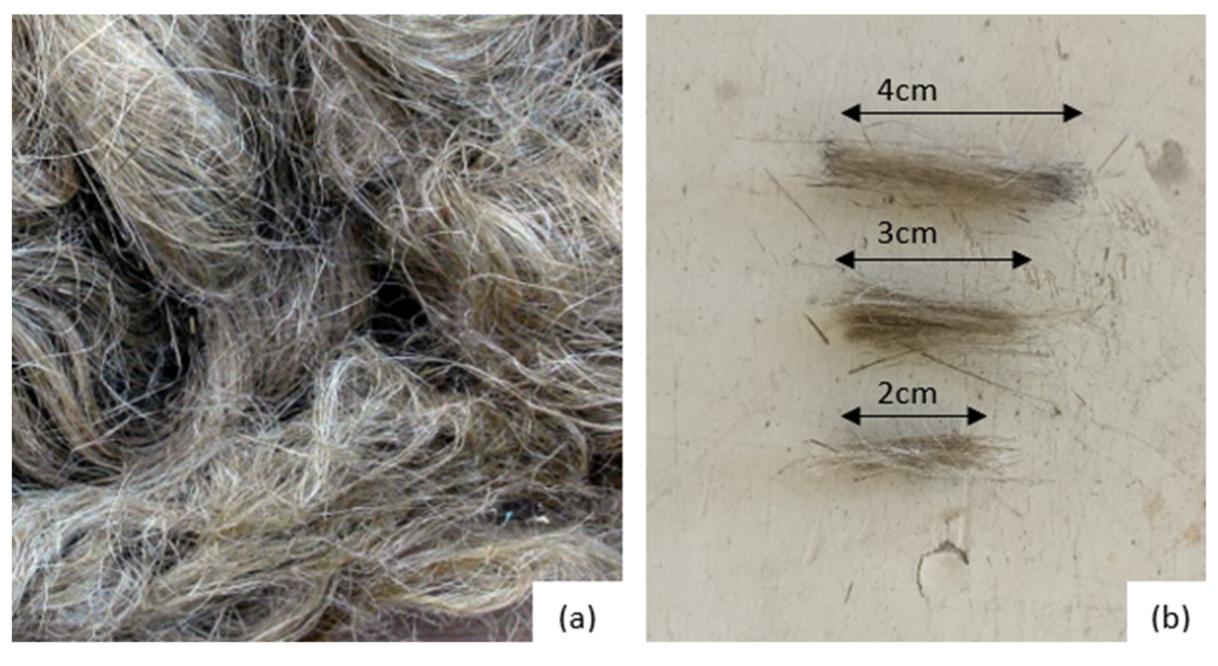 Applsci 15 00909 g005