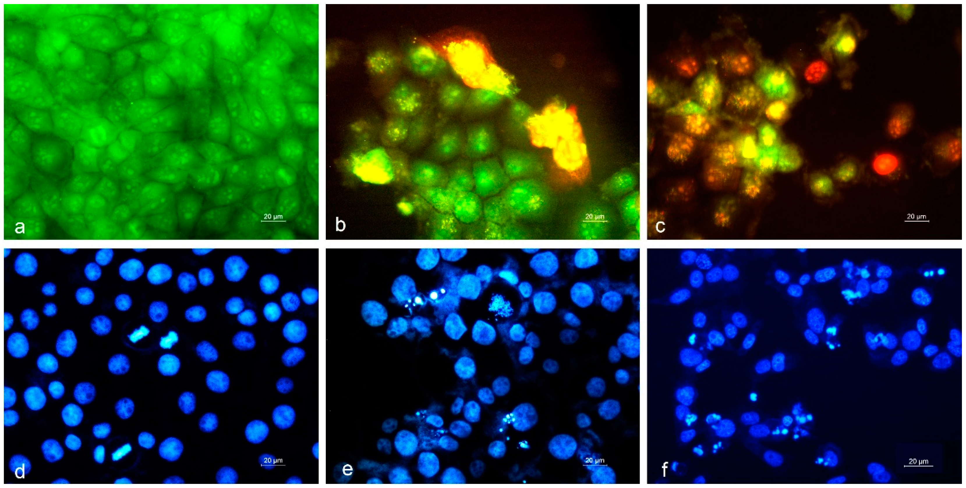 Applsci 15 00925 g004