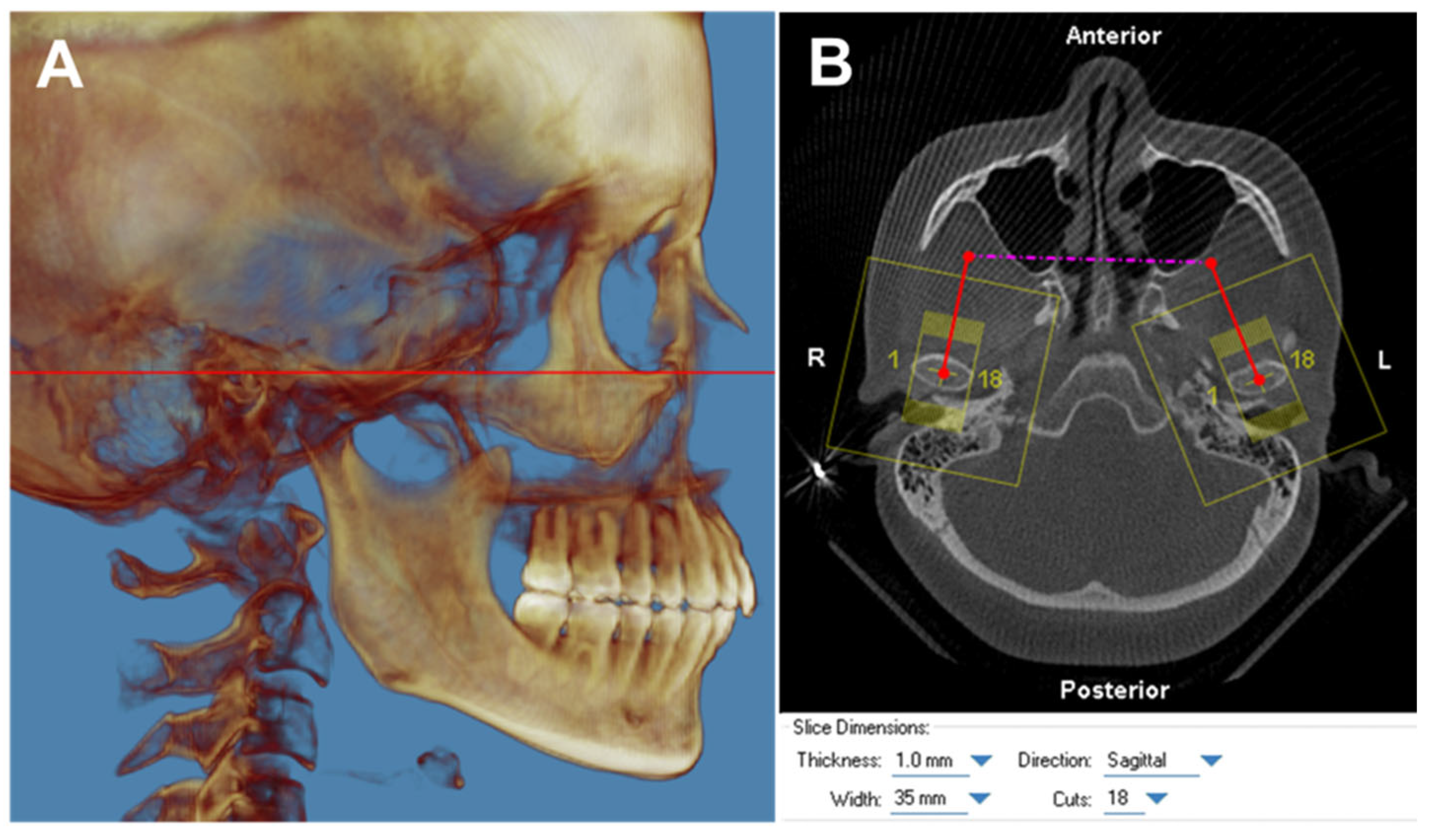 Applsci 15 00944 g001
