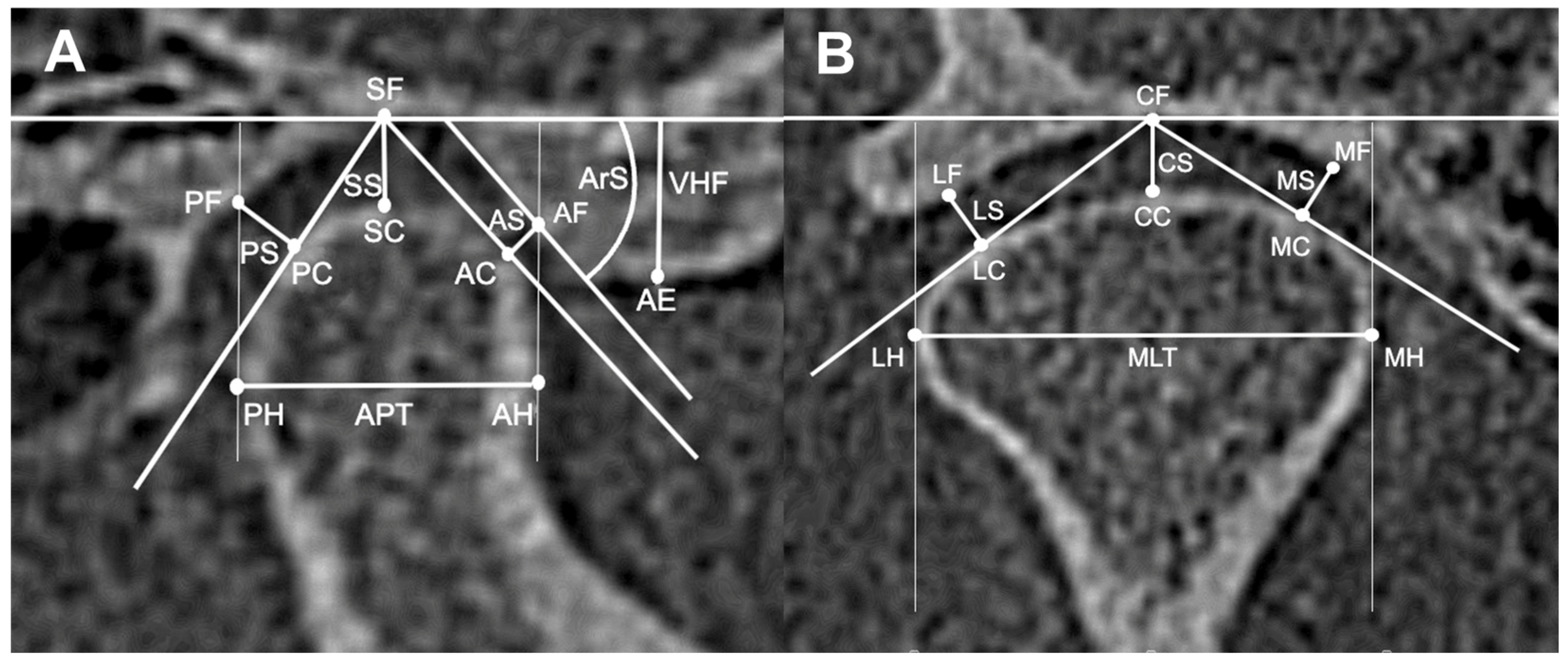 Applsci 15 00944 g002