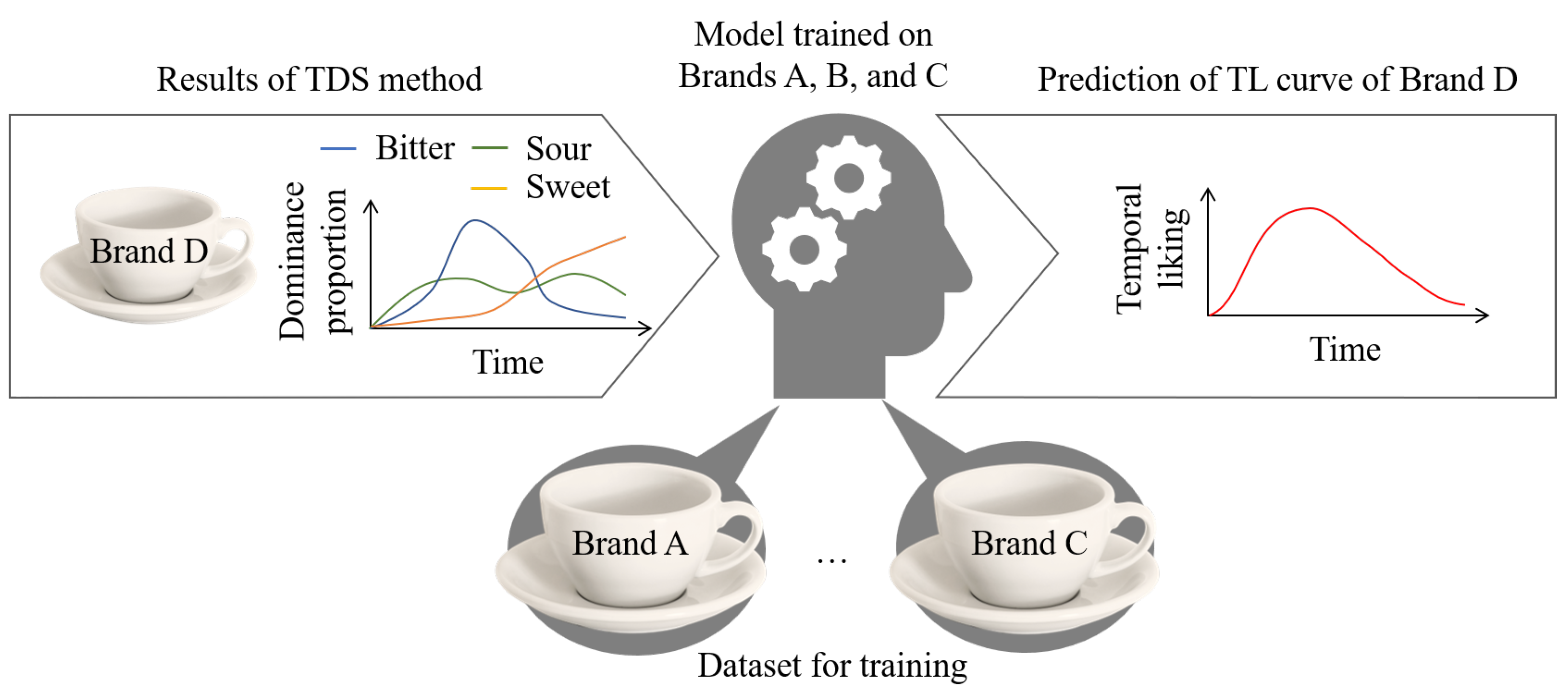 Applsci 15 00948 g001
