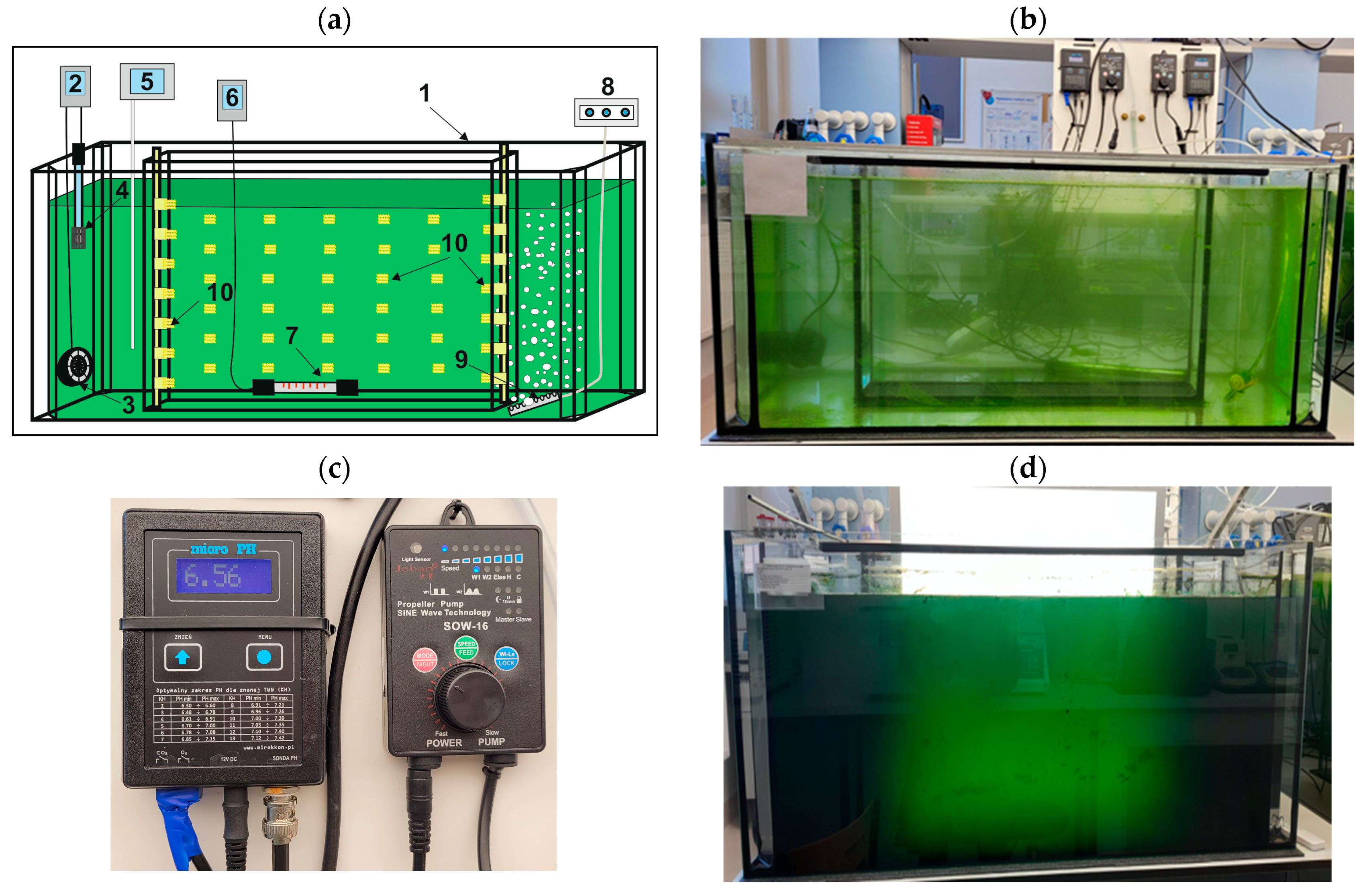 Applsci 15 00949 g001