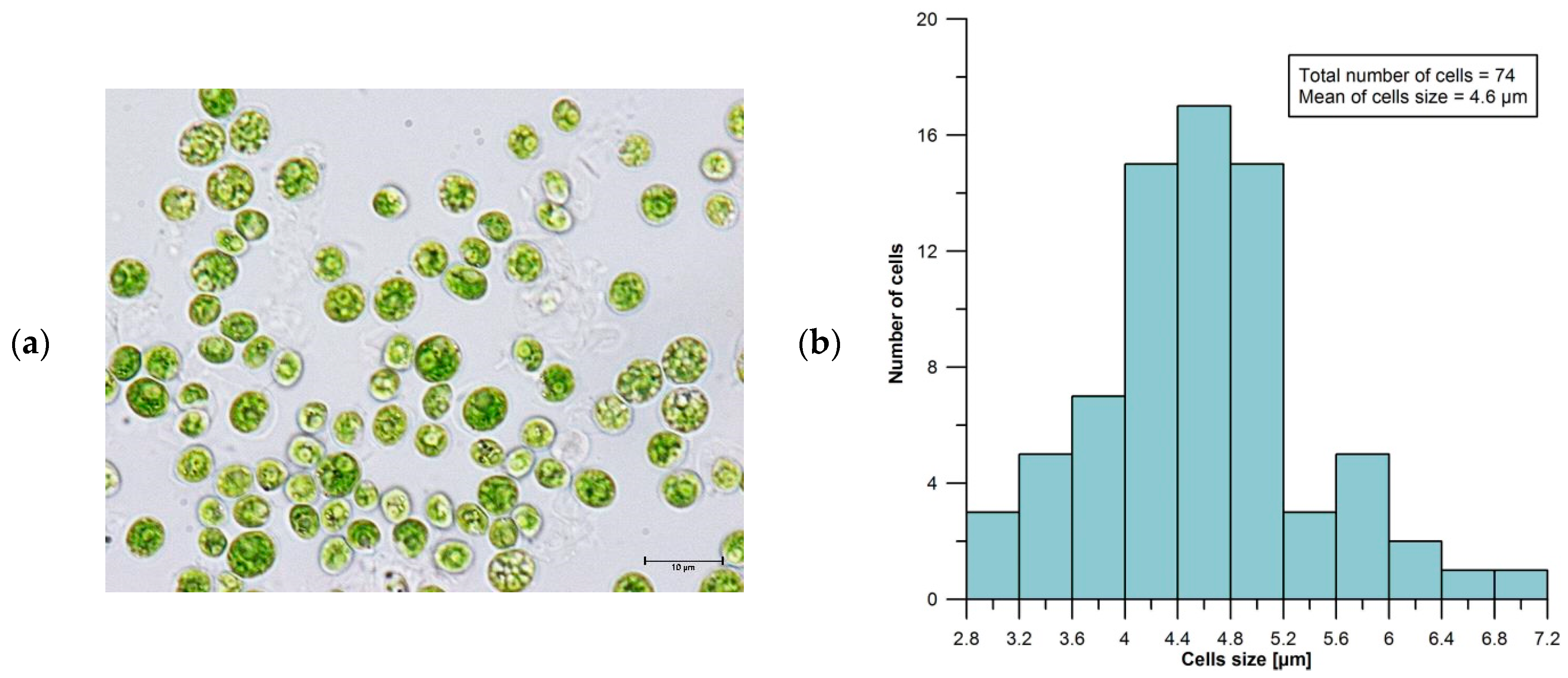 Applsci 15 00949 g002