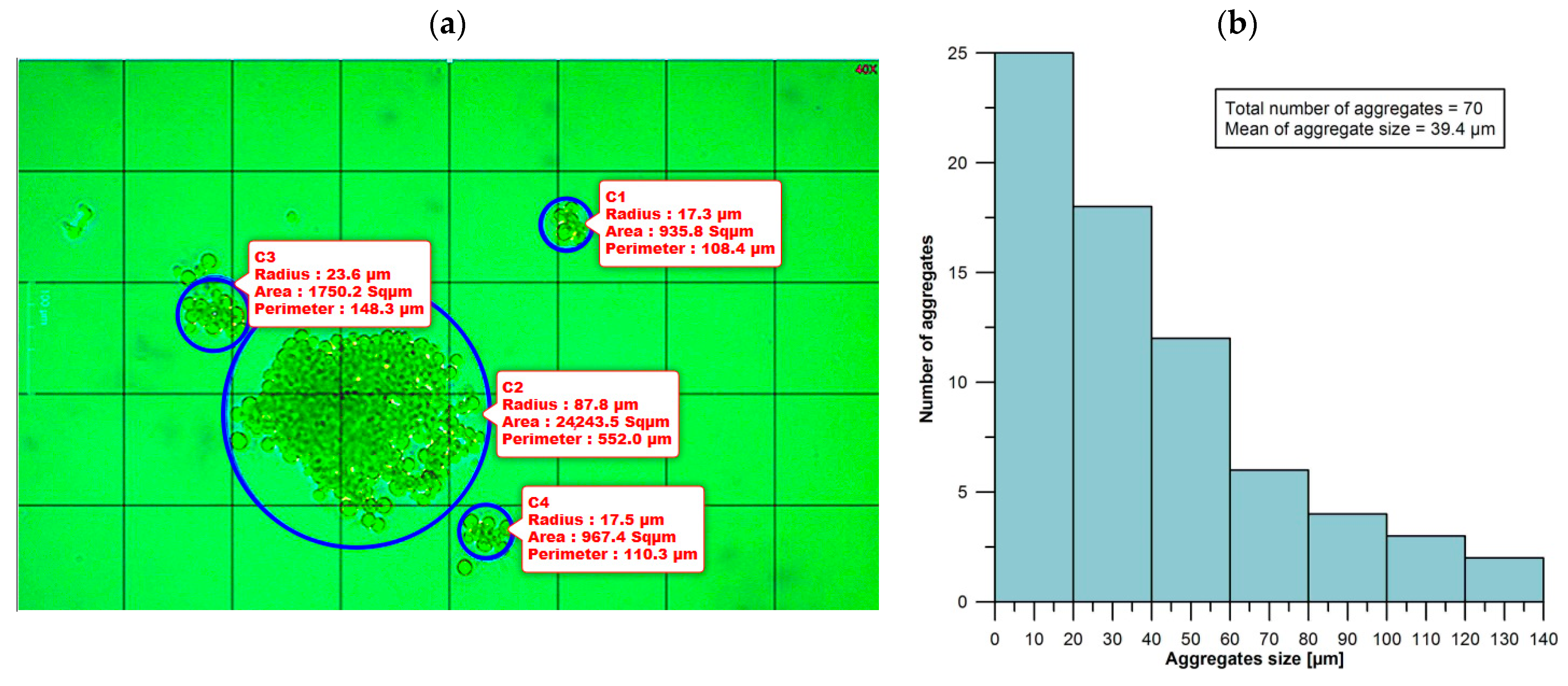 Applsci 15 00949 g003