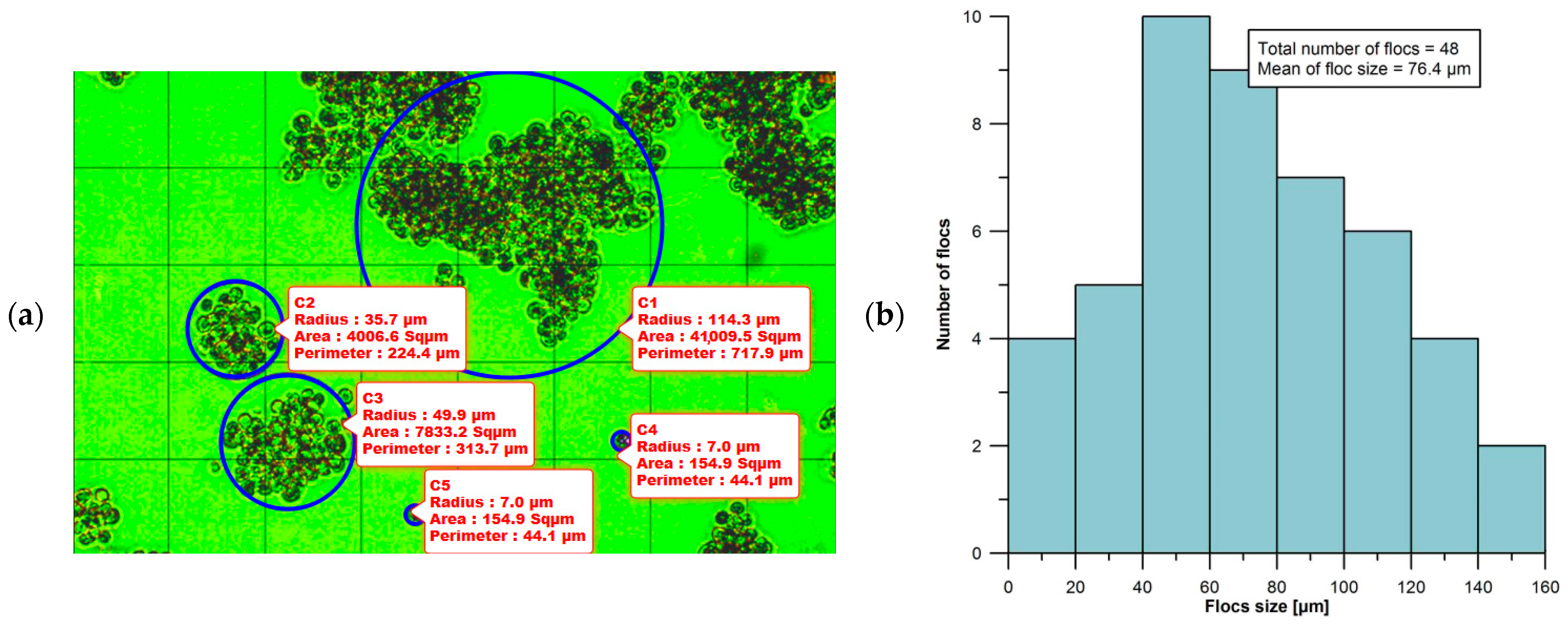 Applsci 15 00949 g004