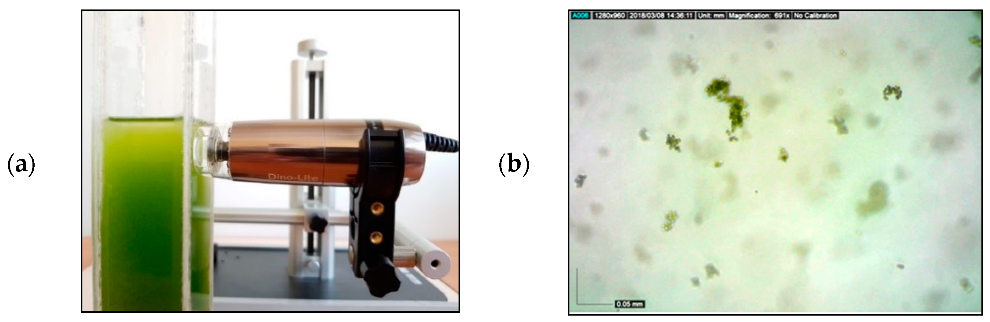 Applsci 15 00949 g005