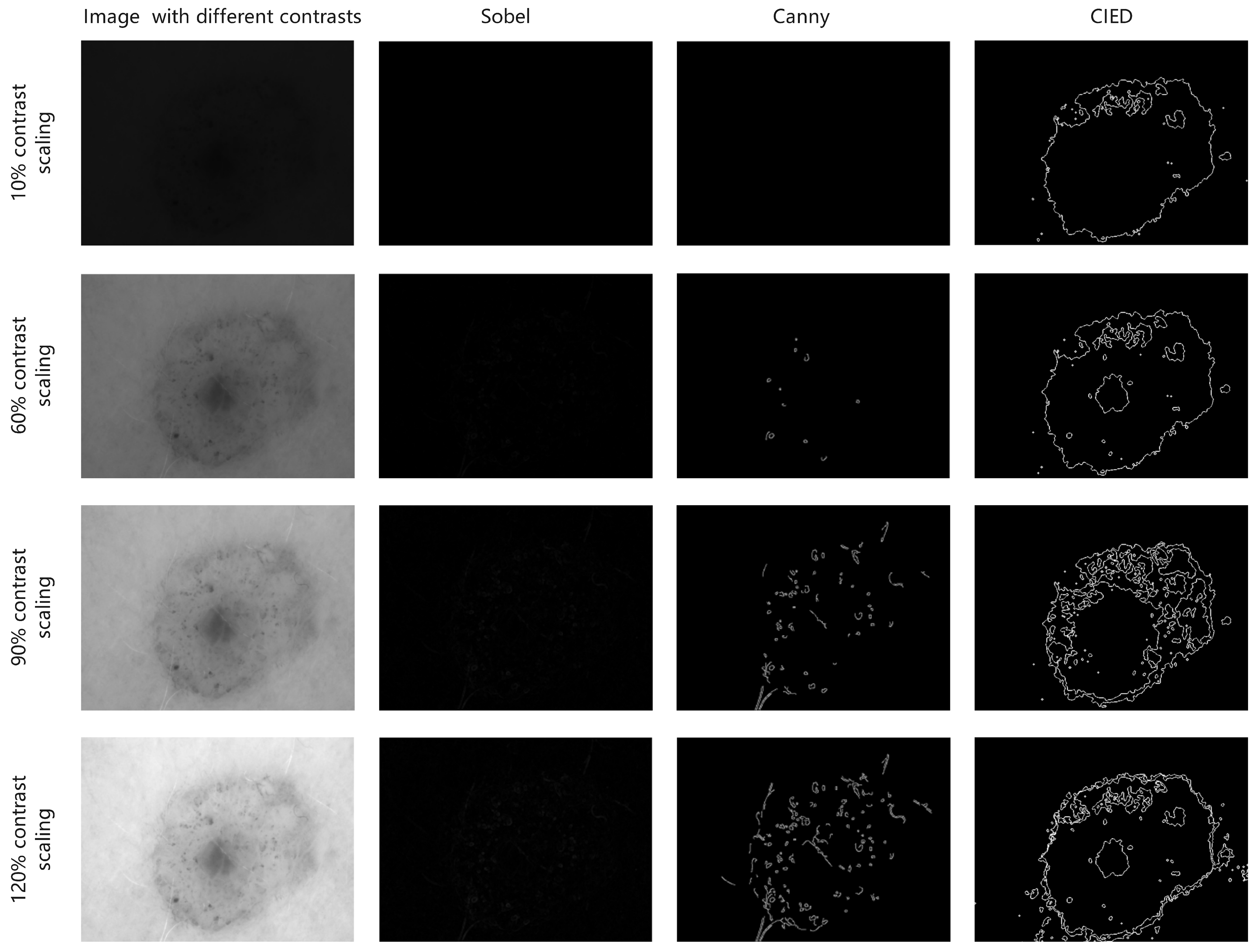 Applsci 15 00963 g010