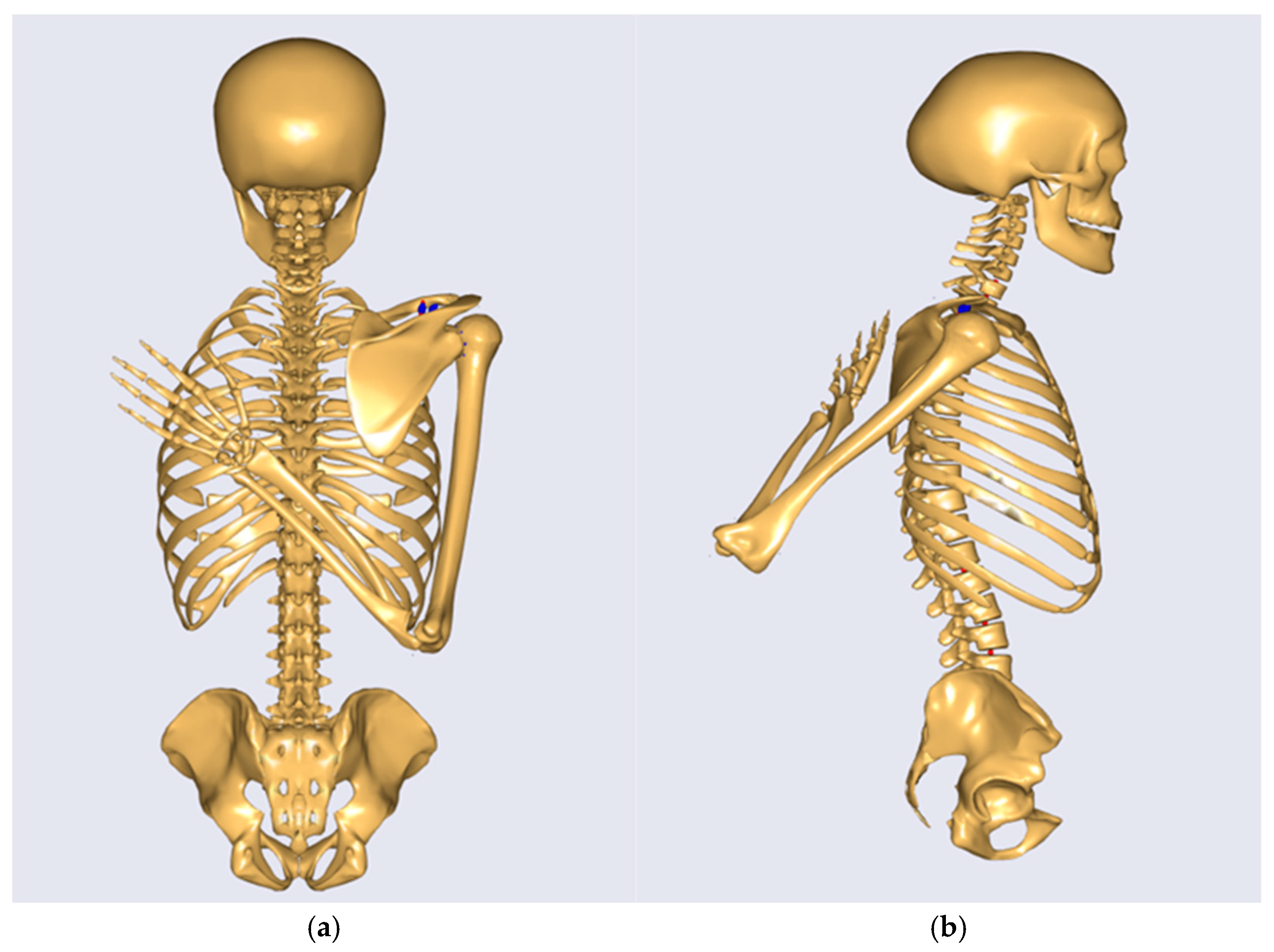 Applsci 15 00967 g004