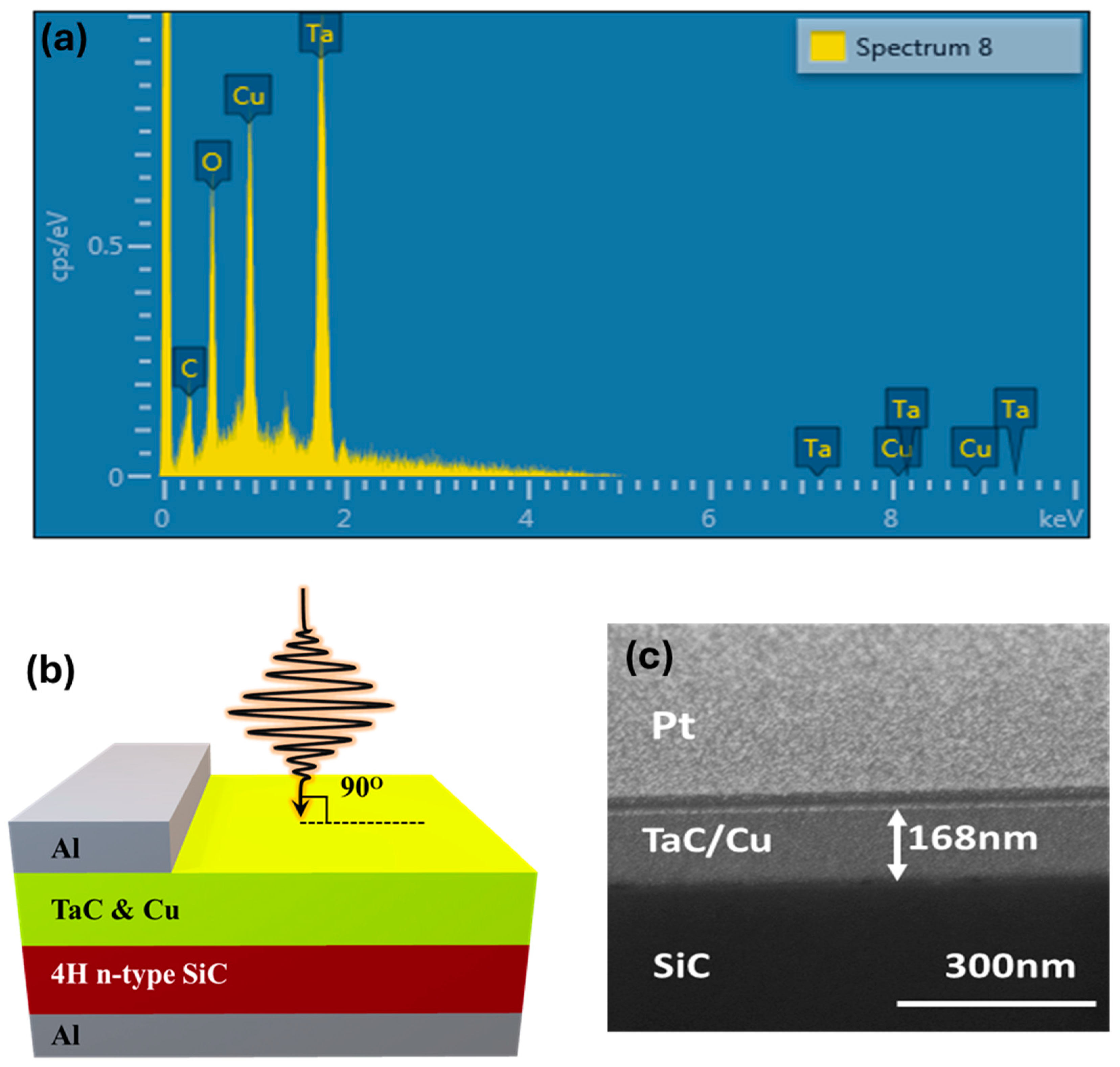 Applsci 15 00970 g003