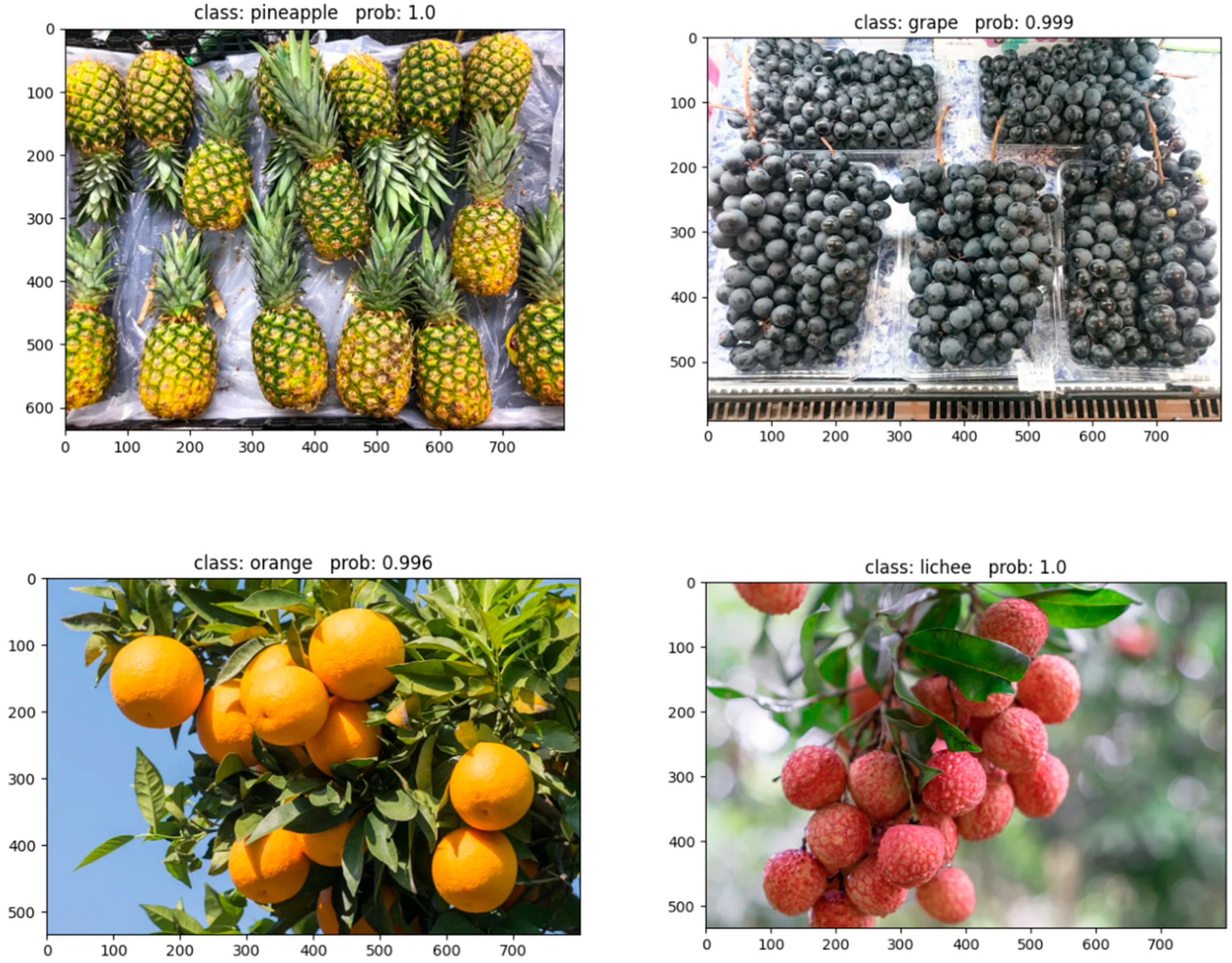 Applsci 15 00994 g012