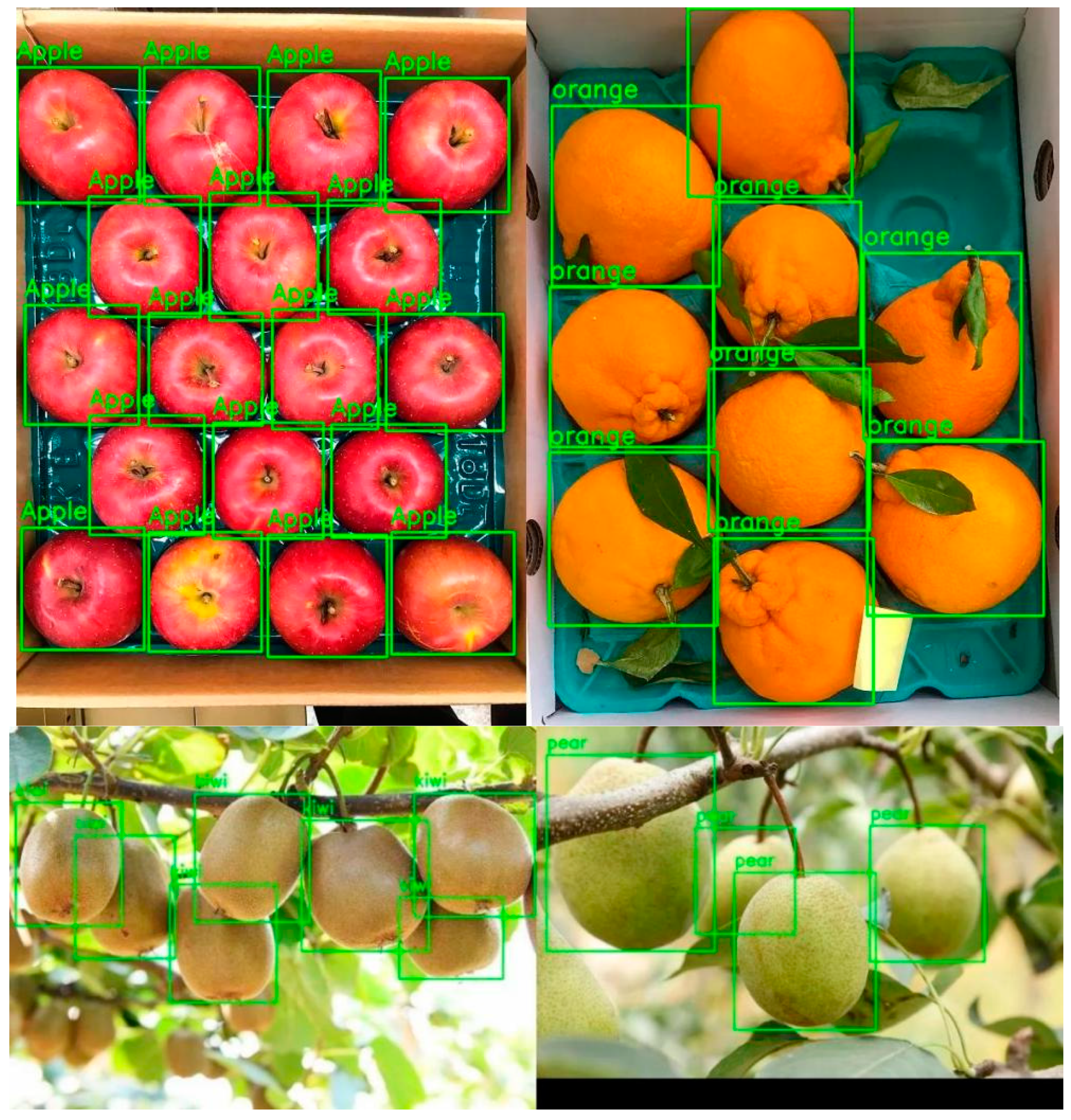 Applsci 15 00994 g013