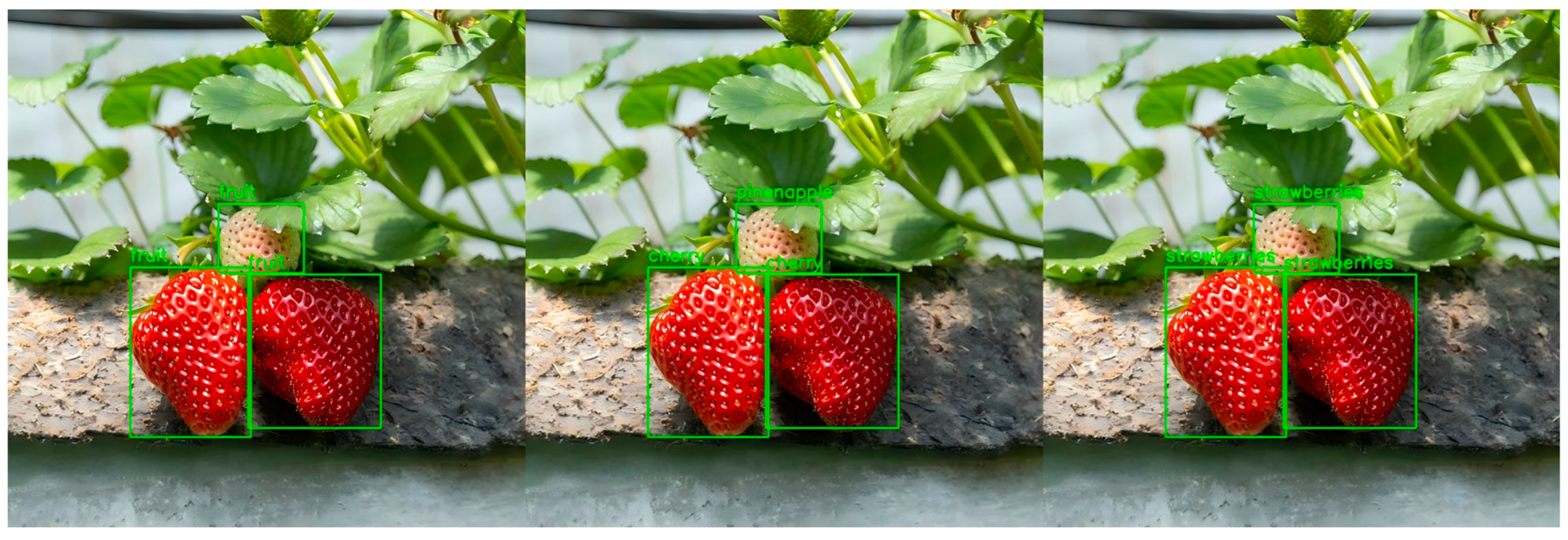 Applsci 15 00994 g015