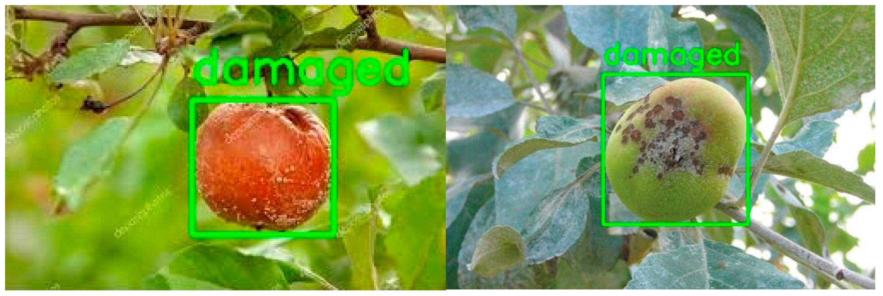 Applsci 15 00994 g018