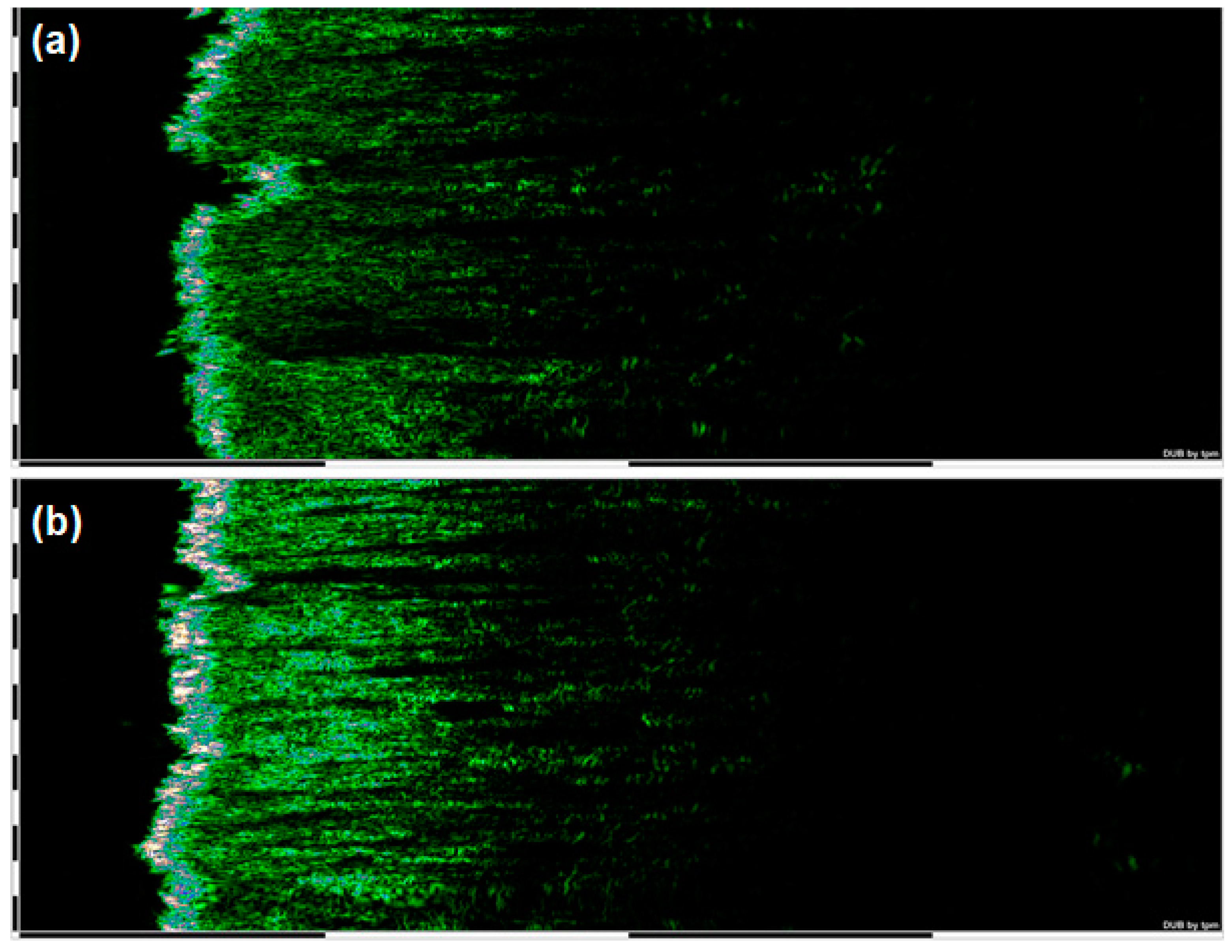 Applsci 15 00995 g002