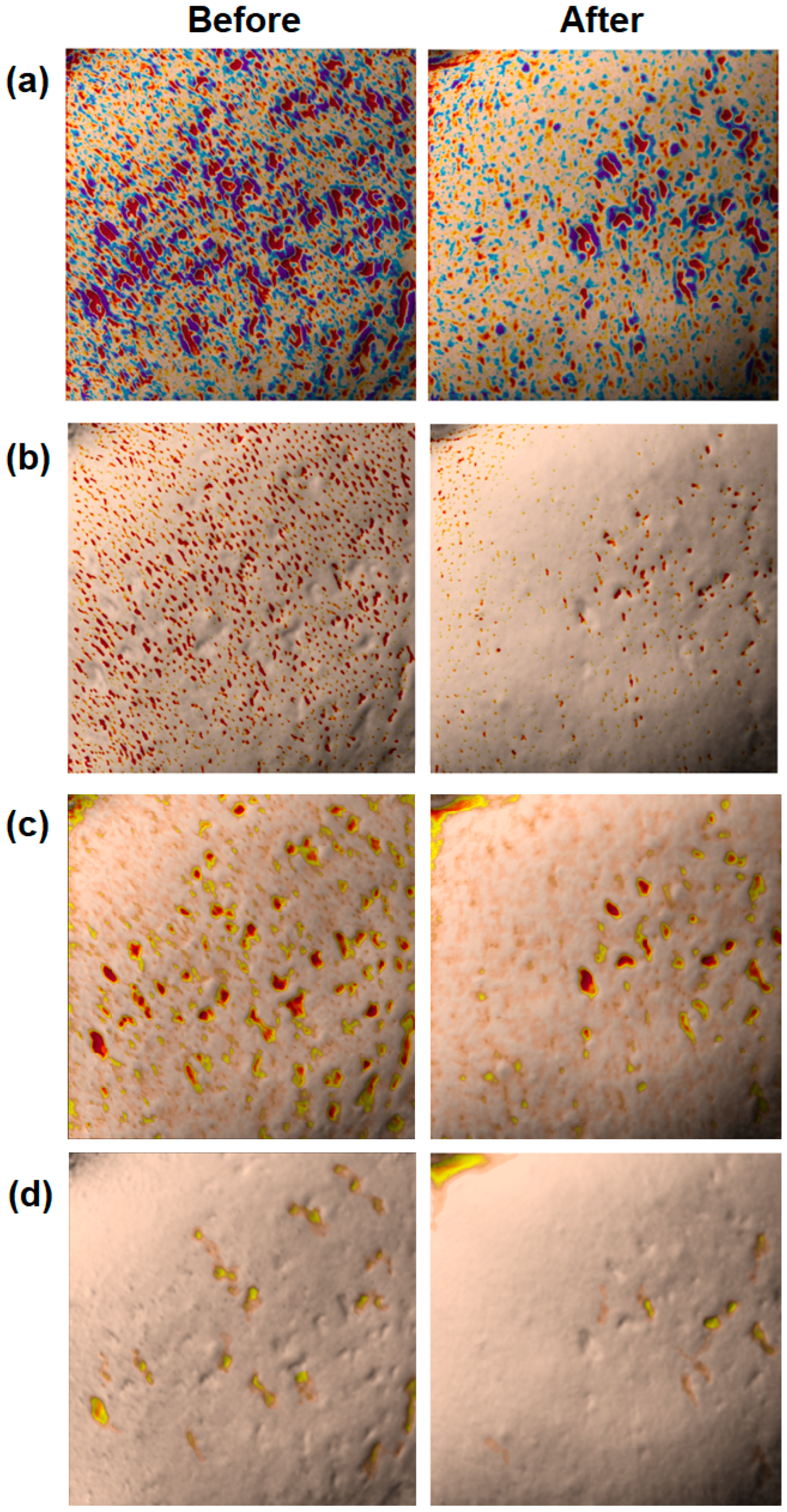 Applsci 15 00995 g008