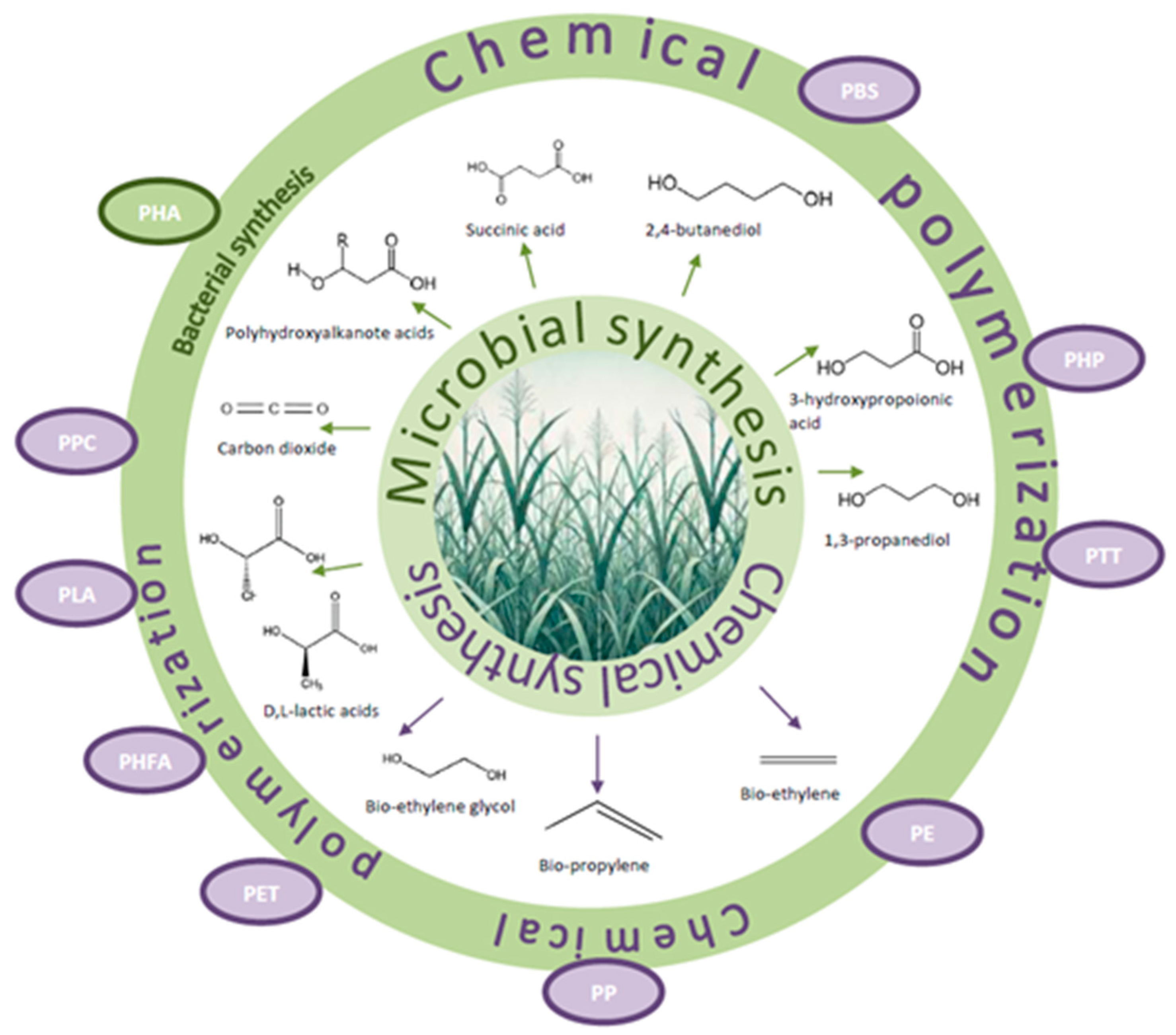 Applsci 15 01008 g005 Applsci 15 01008 g005