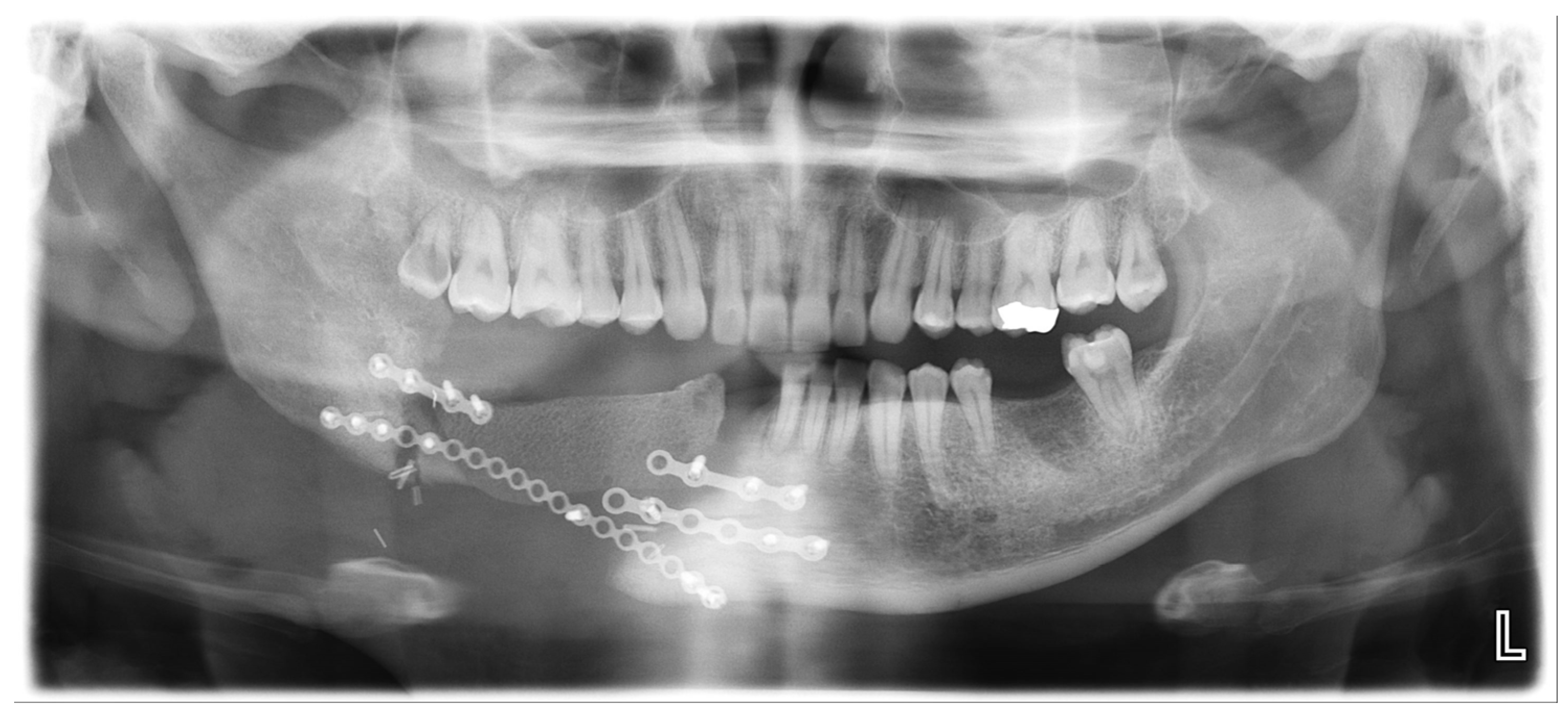 Applsci 15 01010 g001