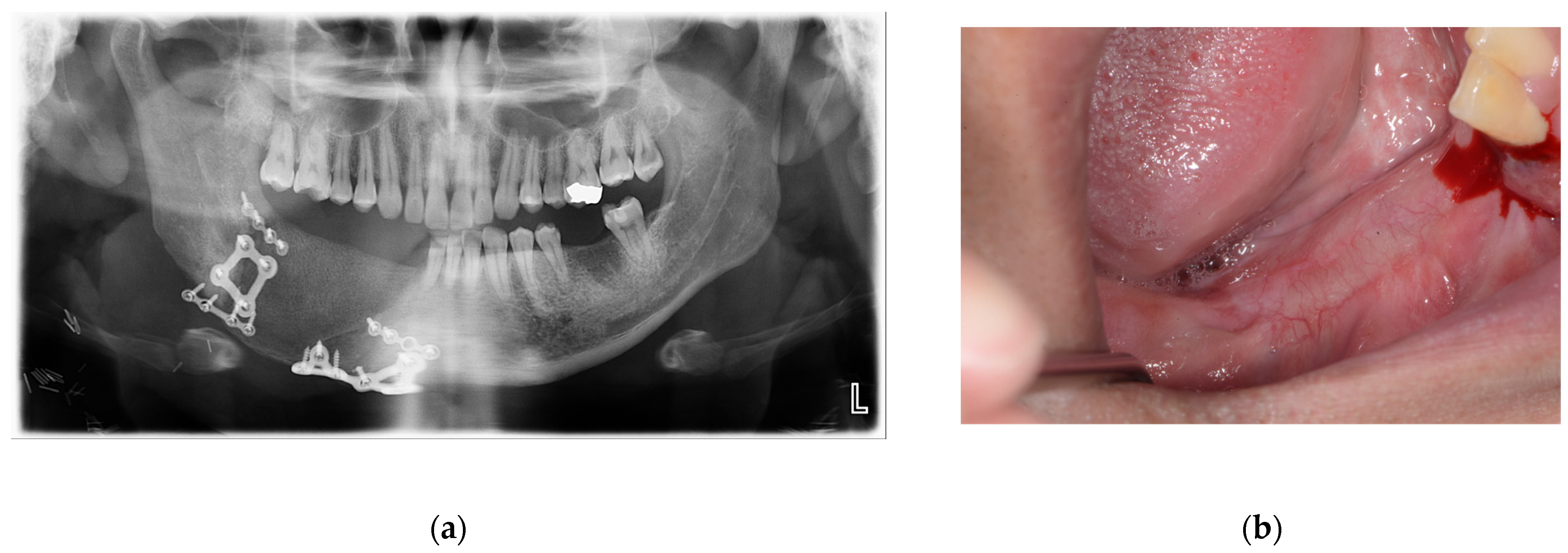 Applsci 15 01010 g007