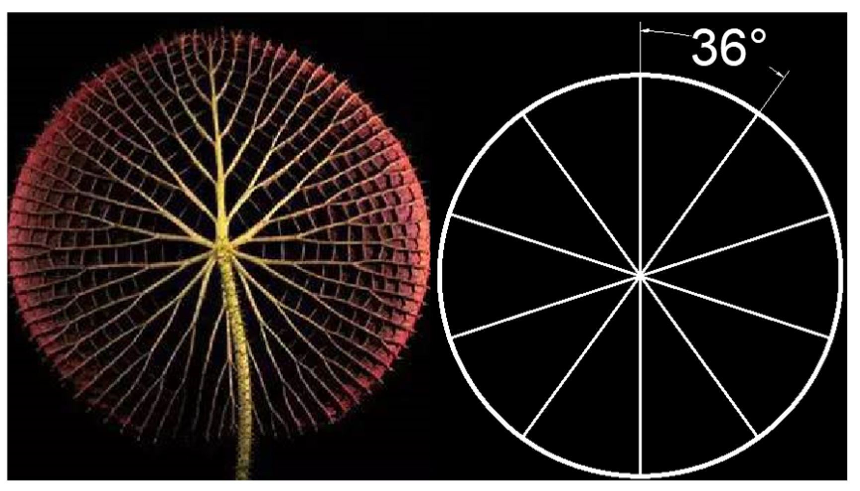 Applsci 15 01016 g002