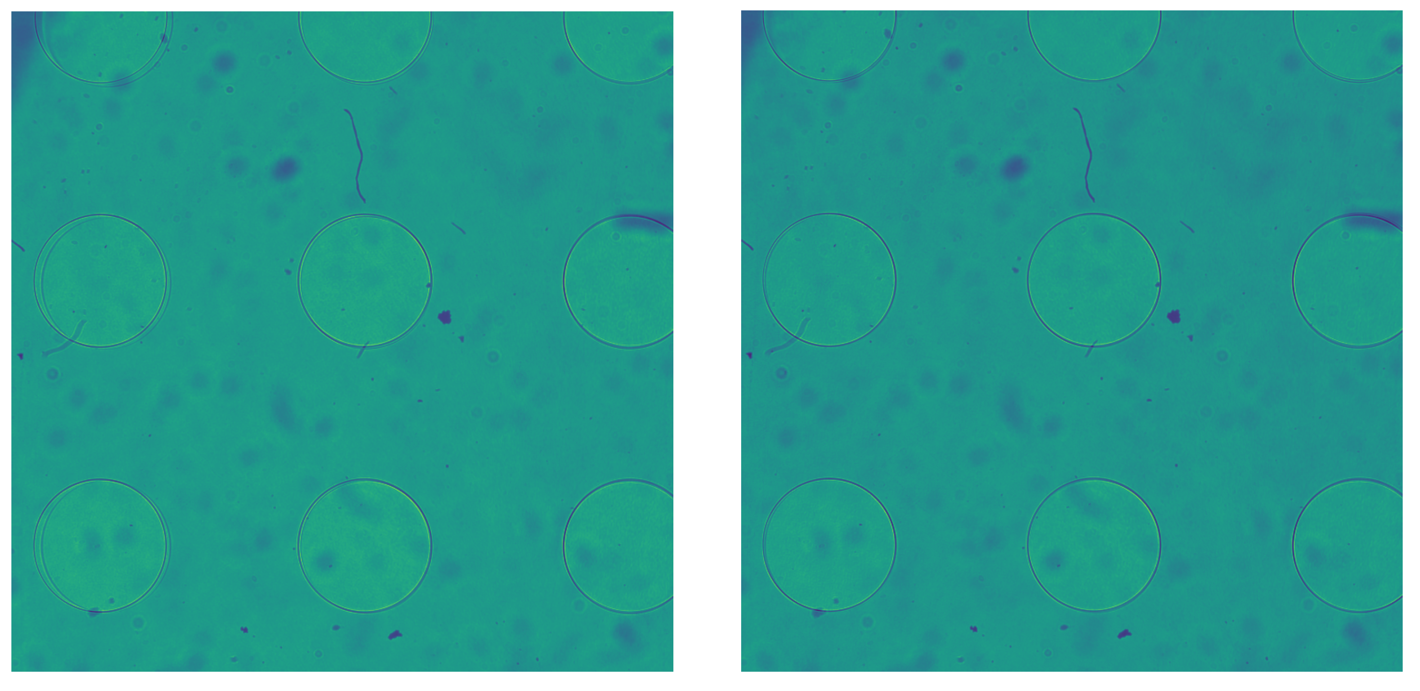 Applsci 15 01019 g010