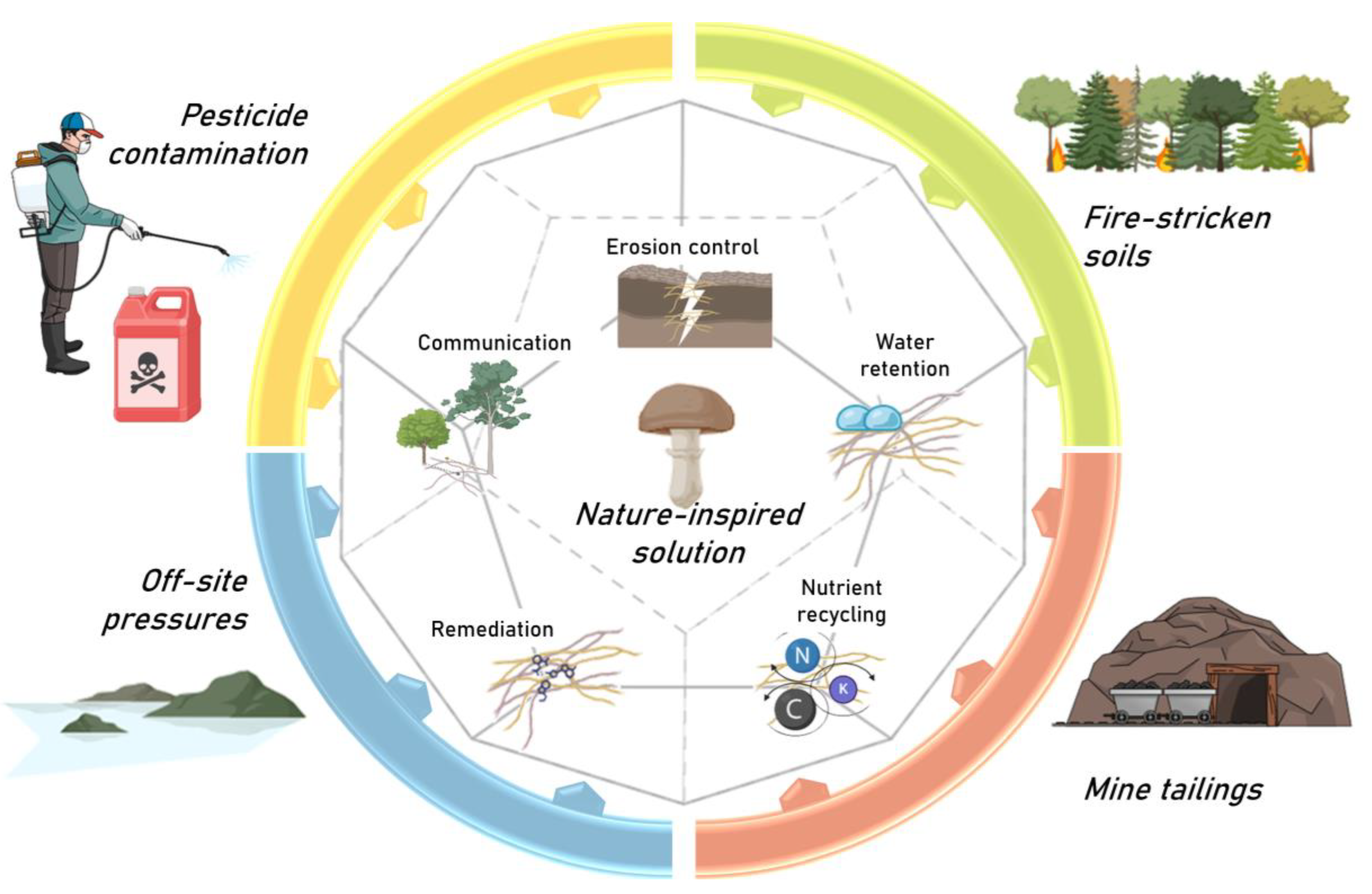 Applsci 15 01039 g001
