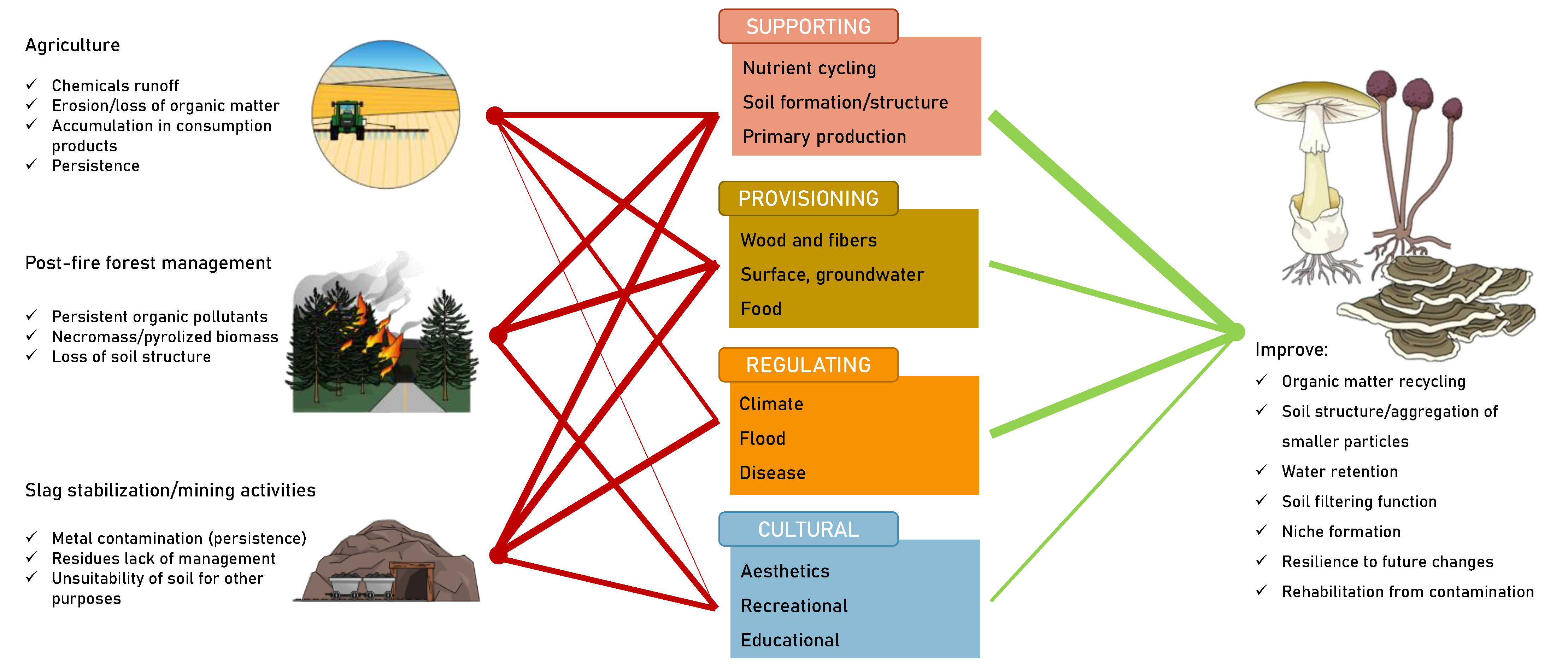 Applsci 15 01039 g002