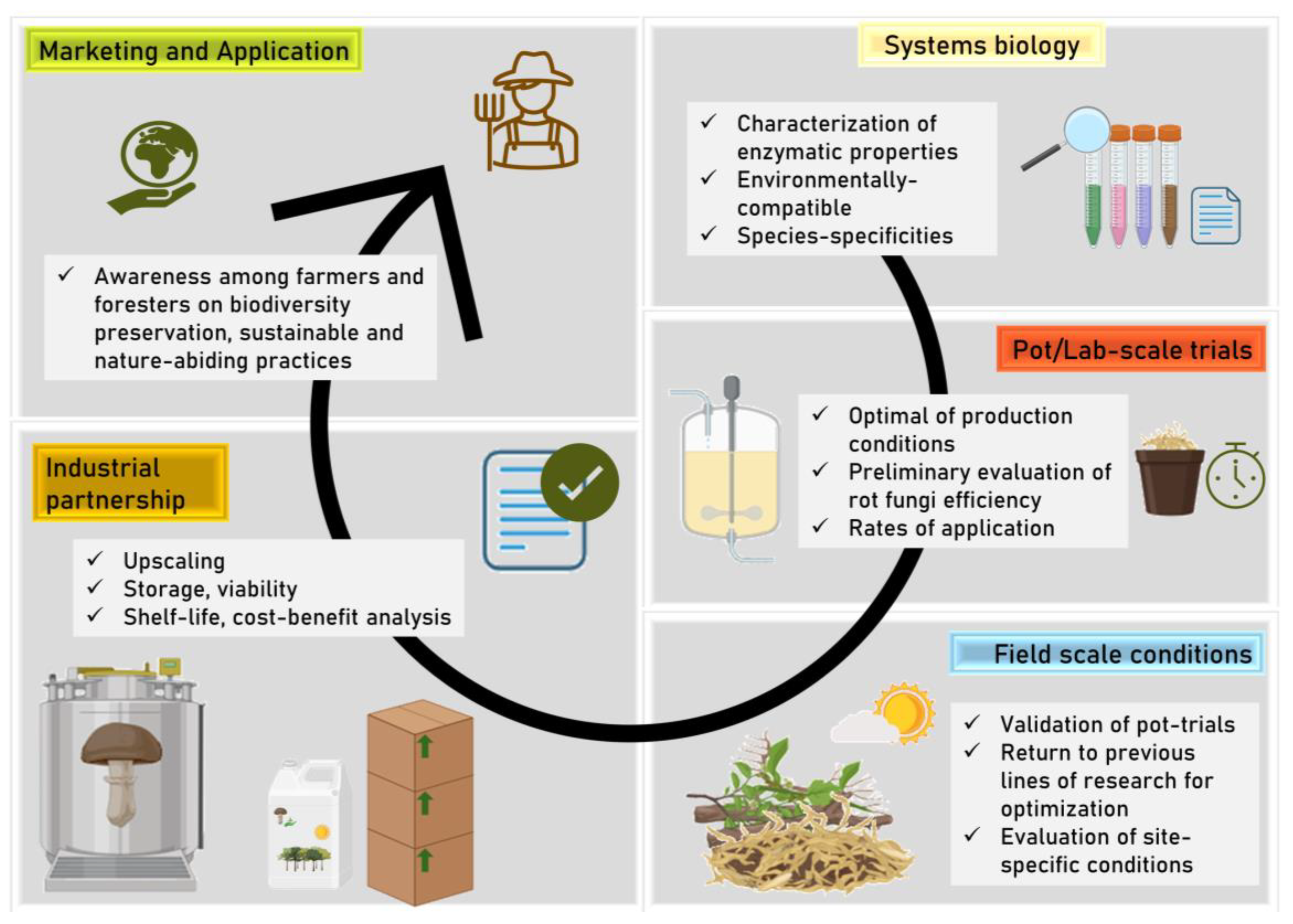 Applsci 15 01039 g003