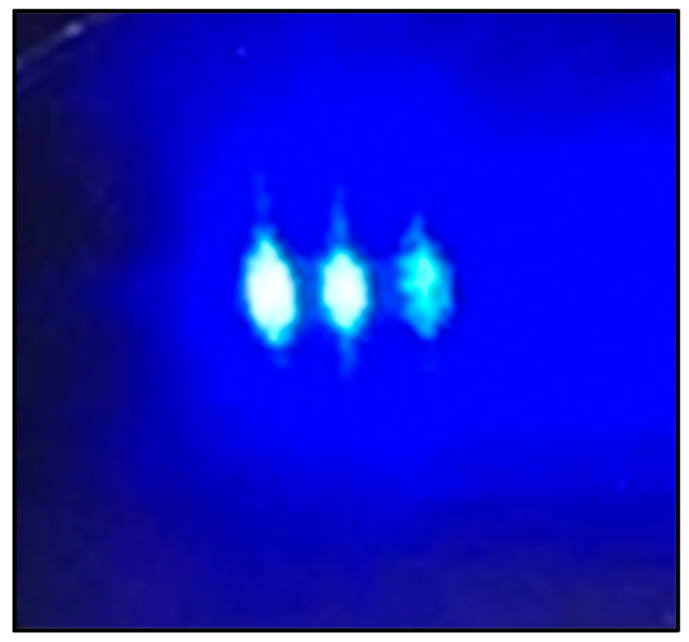 Applsci 15 01041 g002