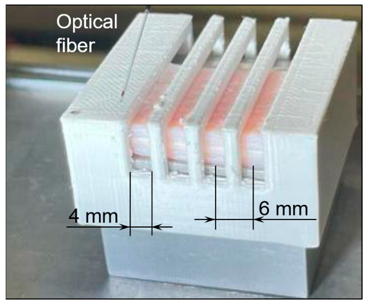 Applsci 15 01041 g005
