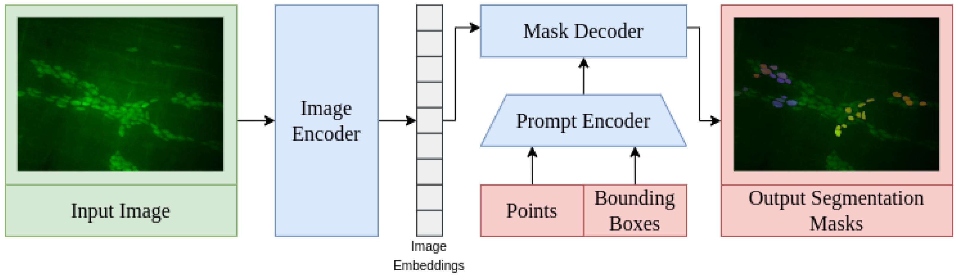 Applsci 15 01046 g001
