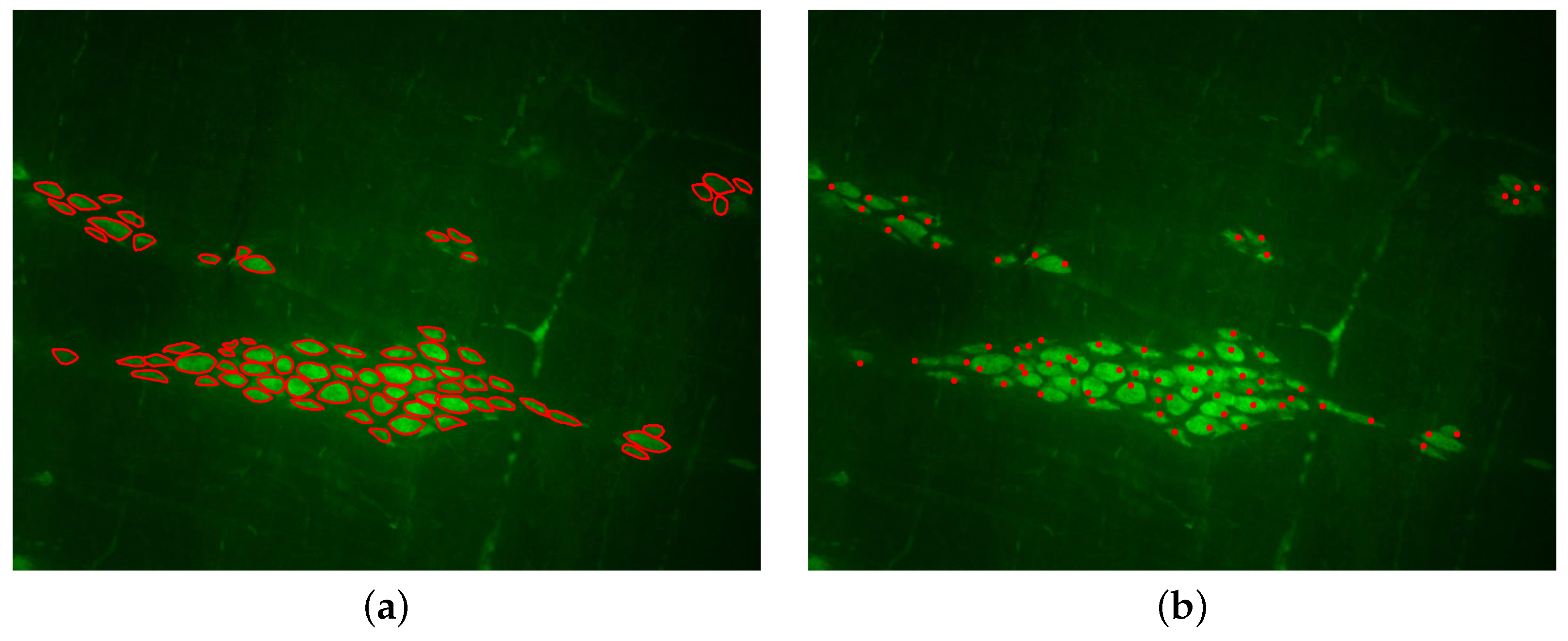 Applsci 15 01046 g007