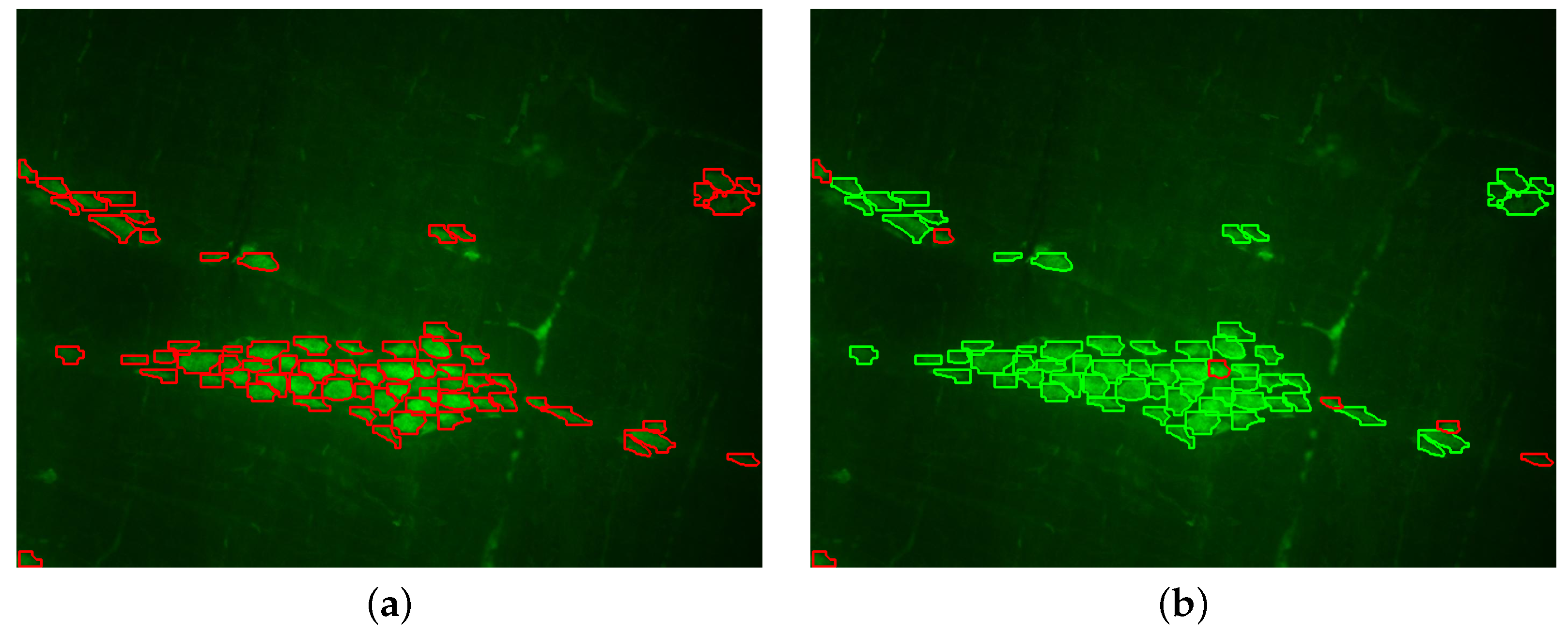 Applsci 15 01046 g008