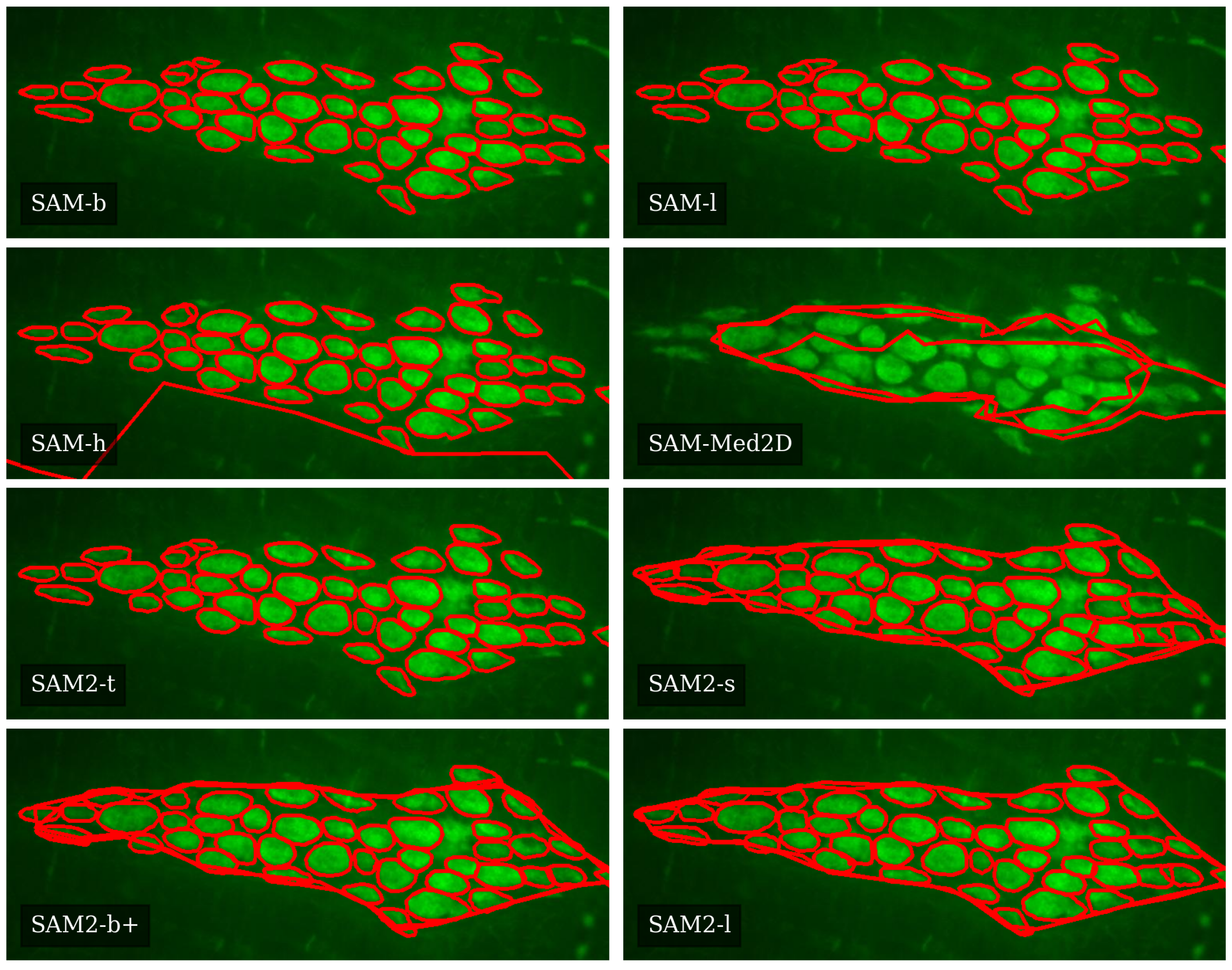 Applsci 15 01046 g011