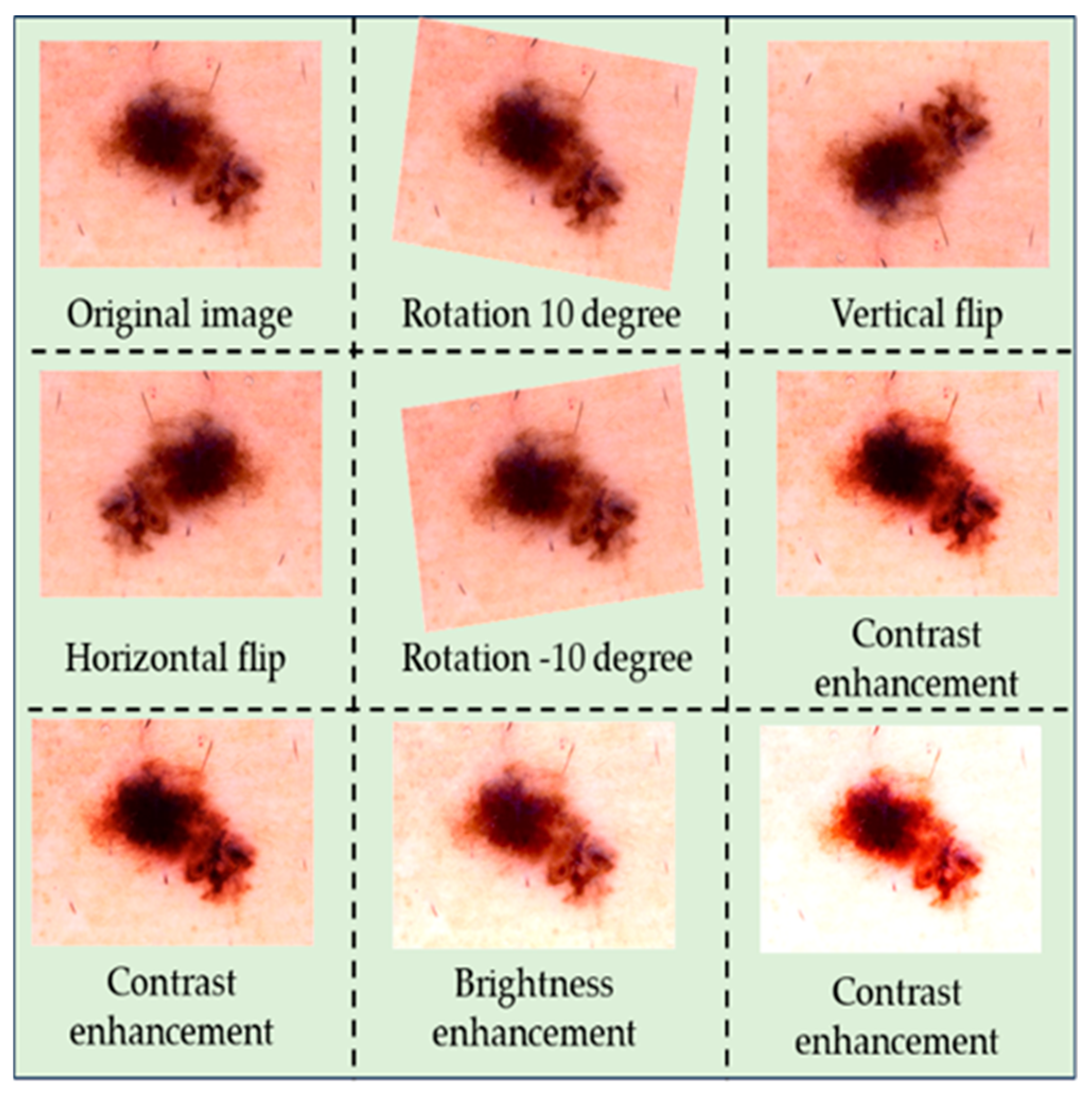 Applsci 15 01067 g001