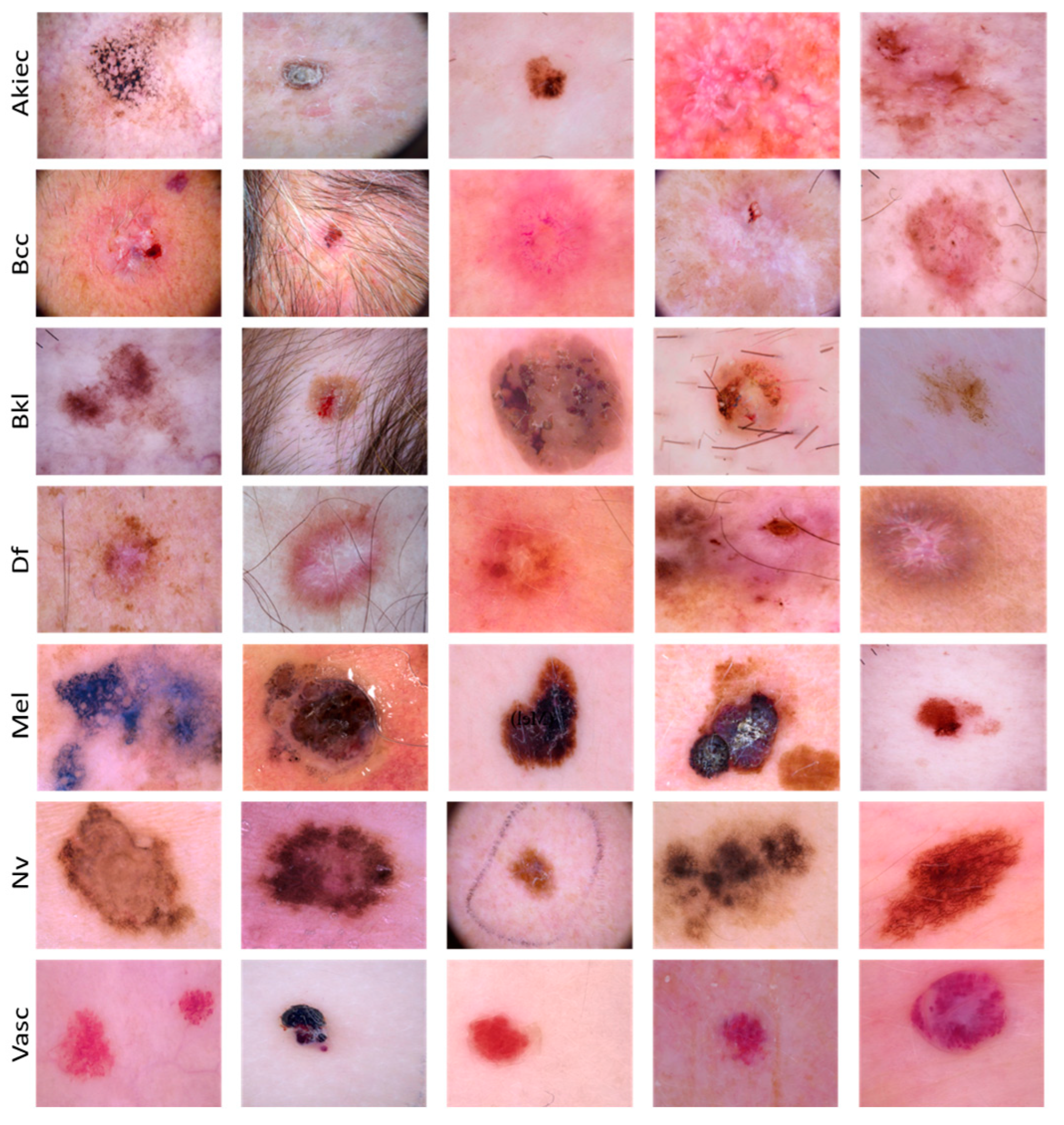 Applsci 15 01067 g004