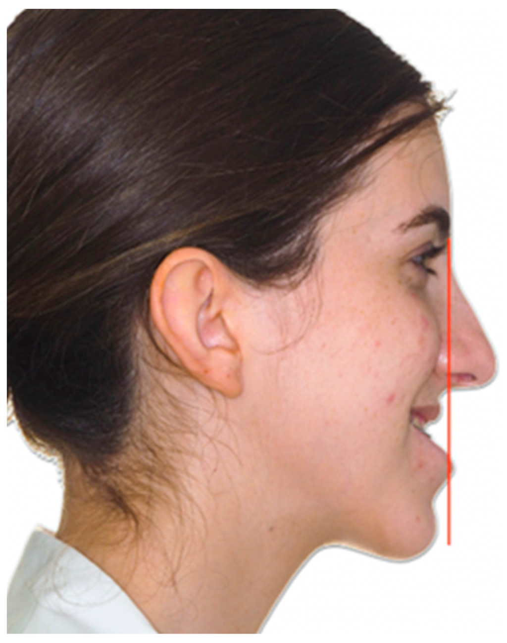 Applsci 15 01069 g001