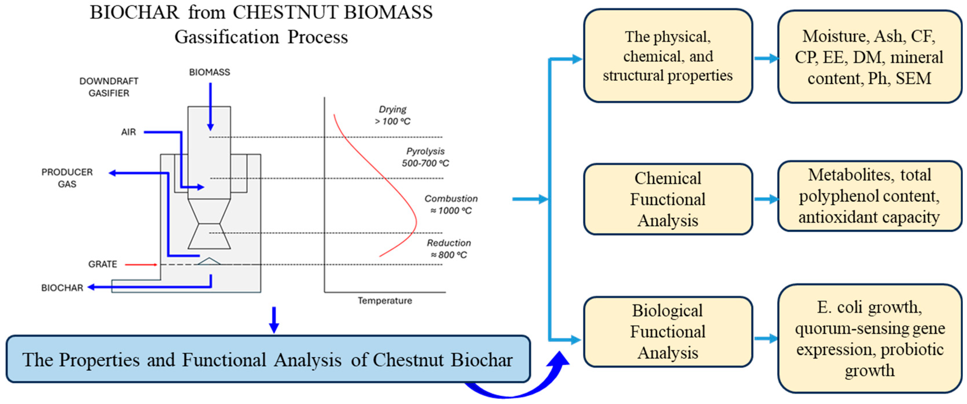 Applsci 15 01084 g001