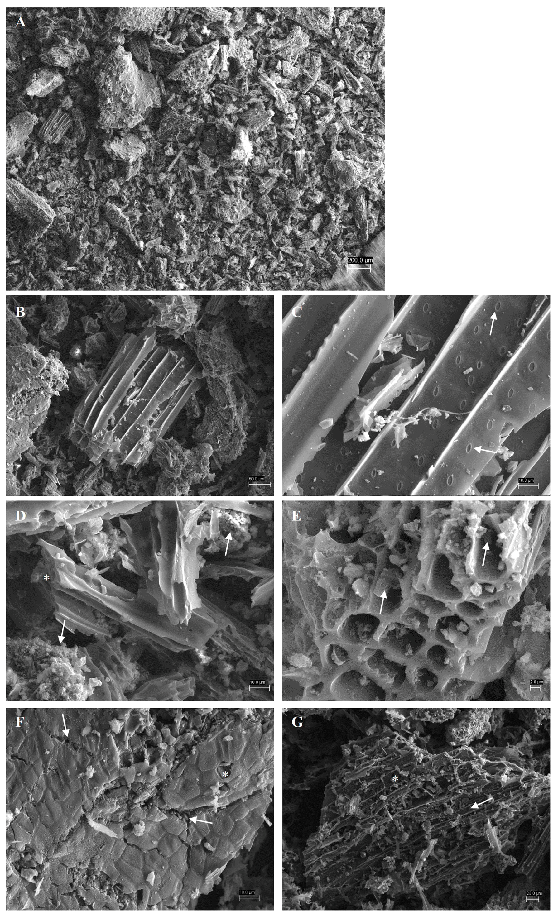 Applsci 15 01084 g002