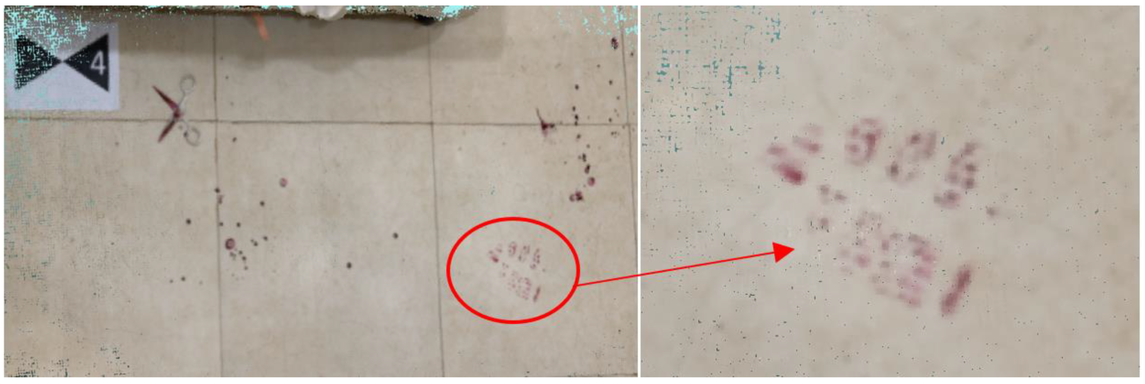 Applsci 15 01085 g008