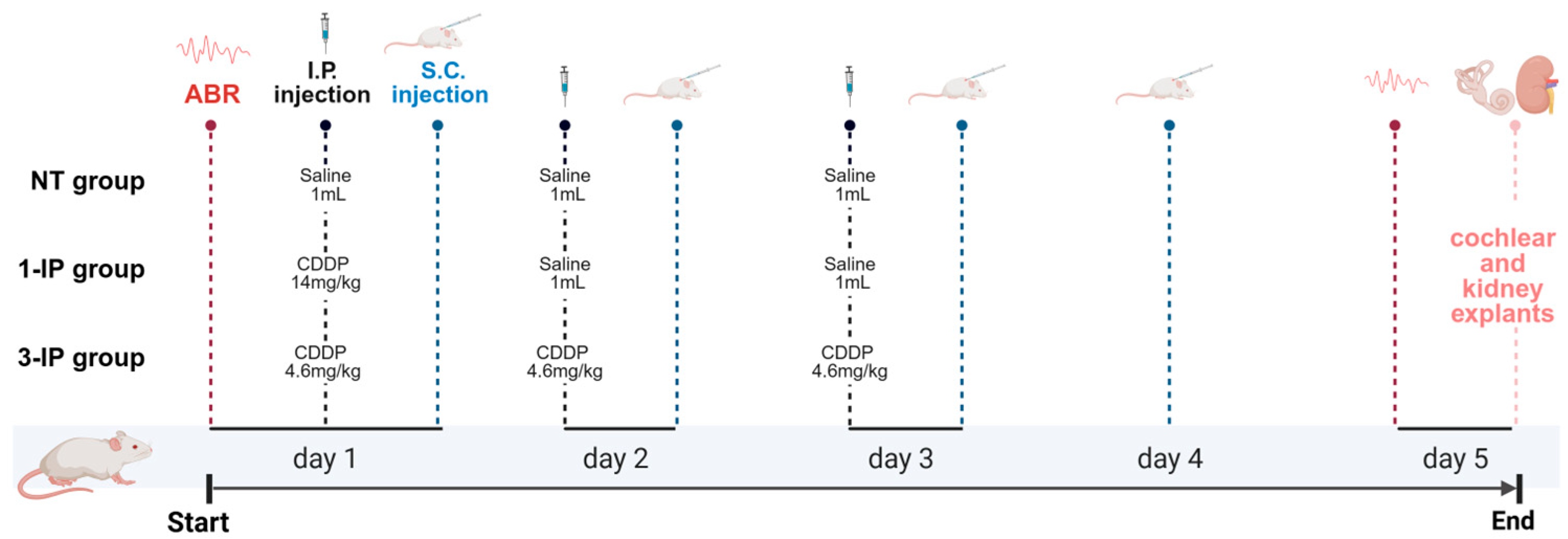 Applsci 15 01090 g001 Applsci 15 01090 g001