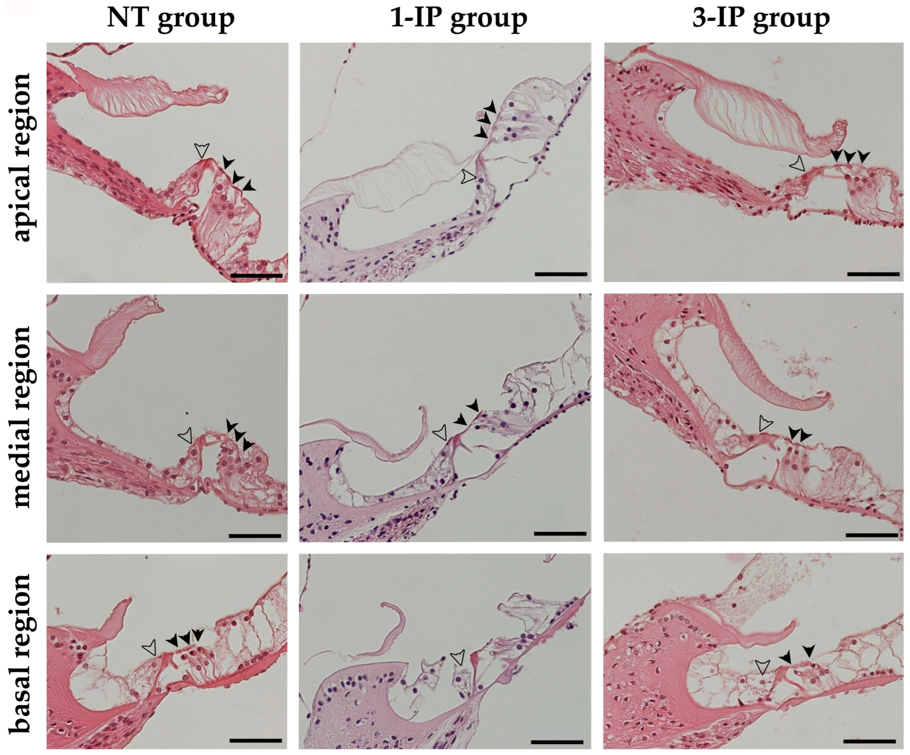Applsci 15 01090 g004 Applsci 15 01090 g004