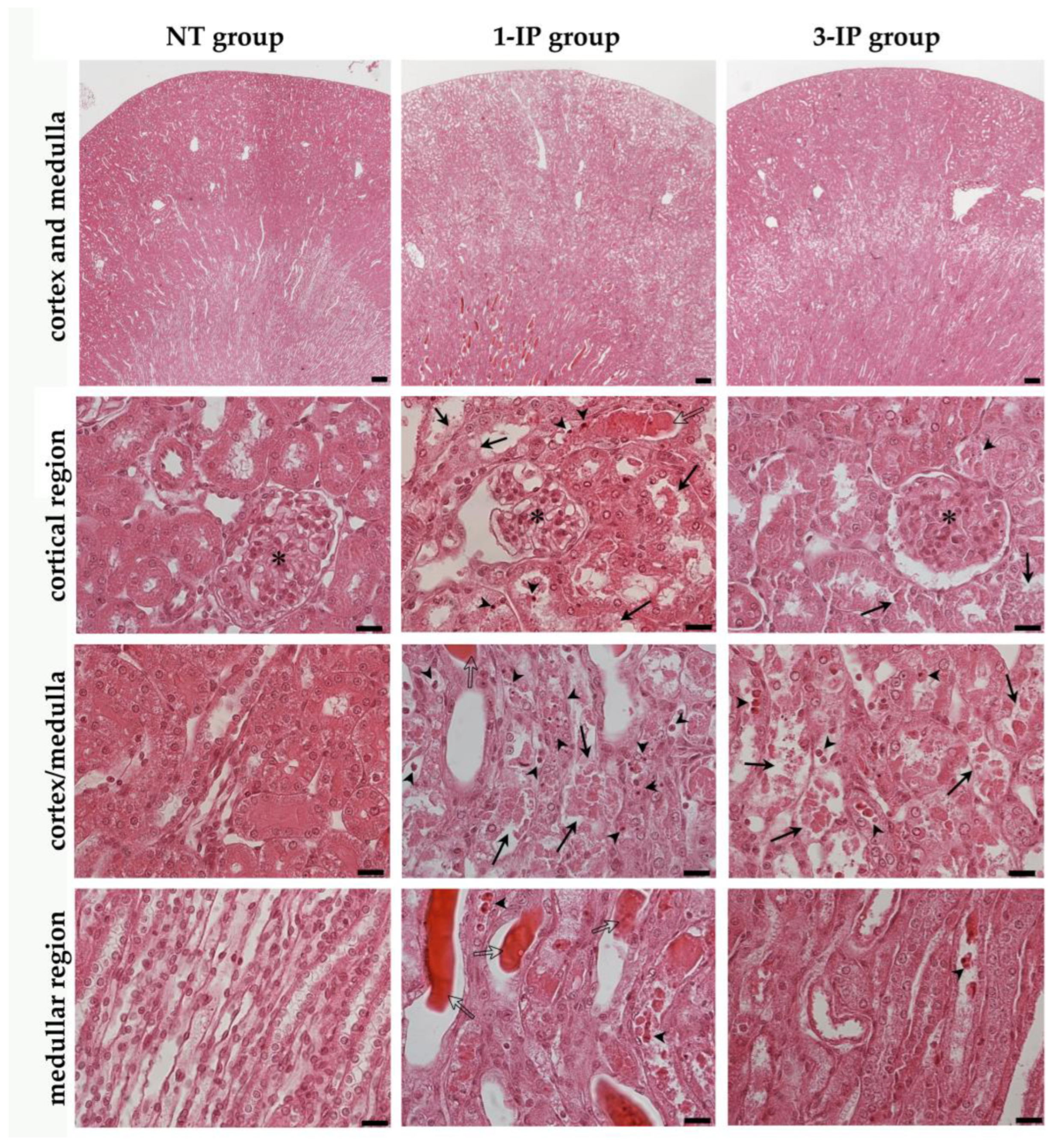 Applsci 15 01090 g006 Applsci 15 01090 g006