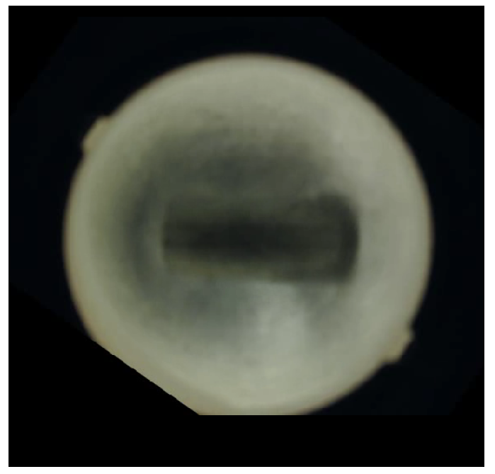 Applsci 15 01099 g003