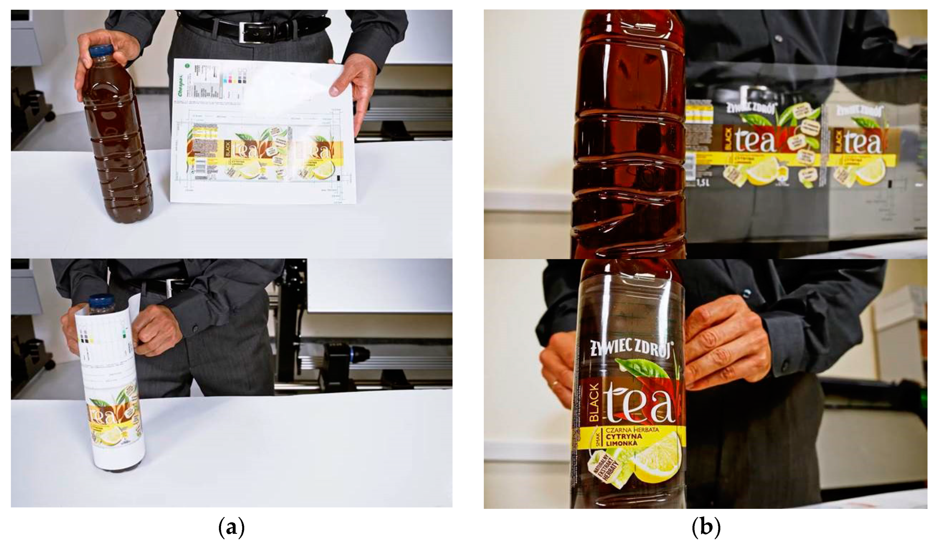 Applsci 15 01136 g002