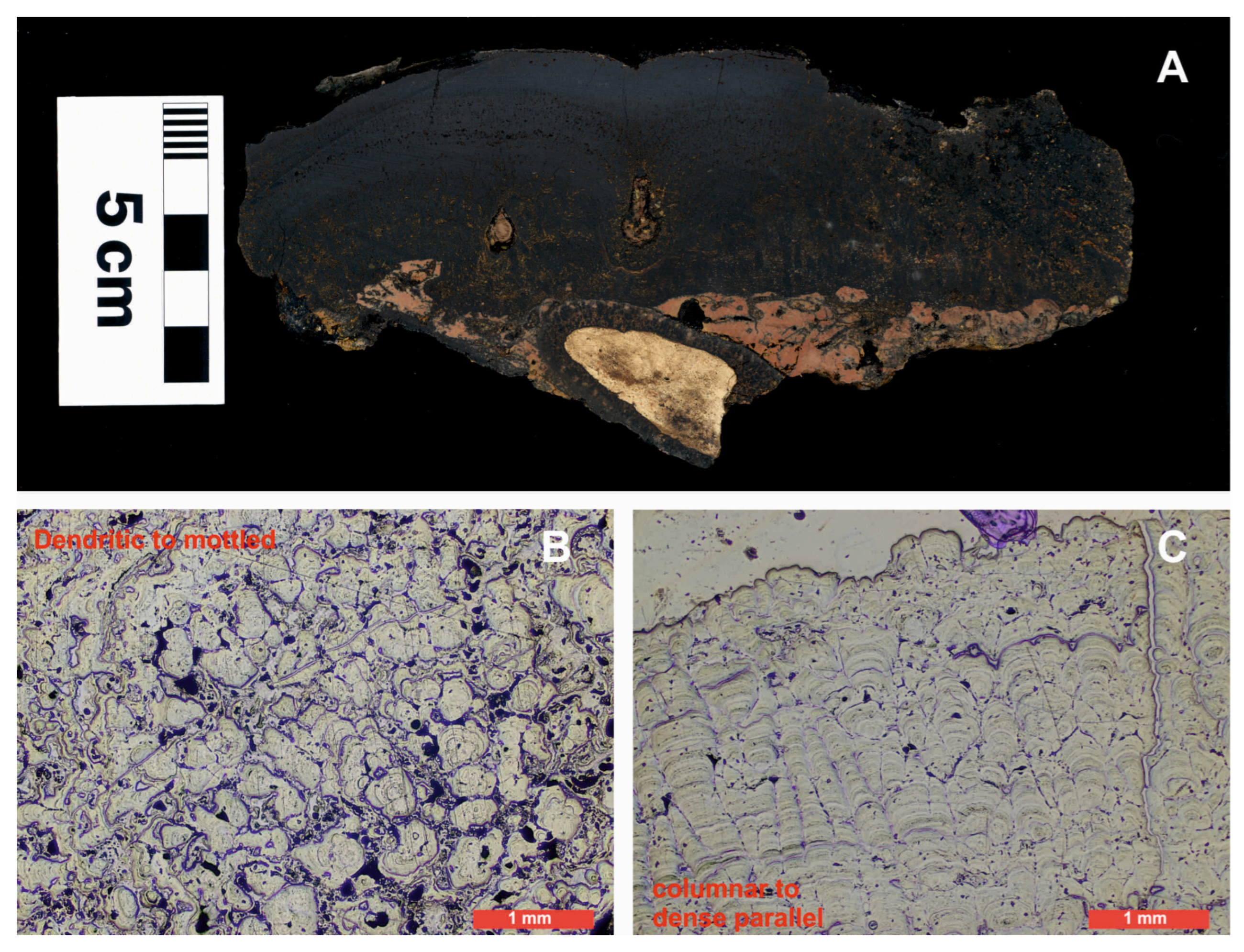 Applsci 15 01155 g003