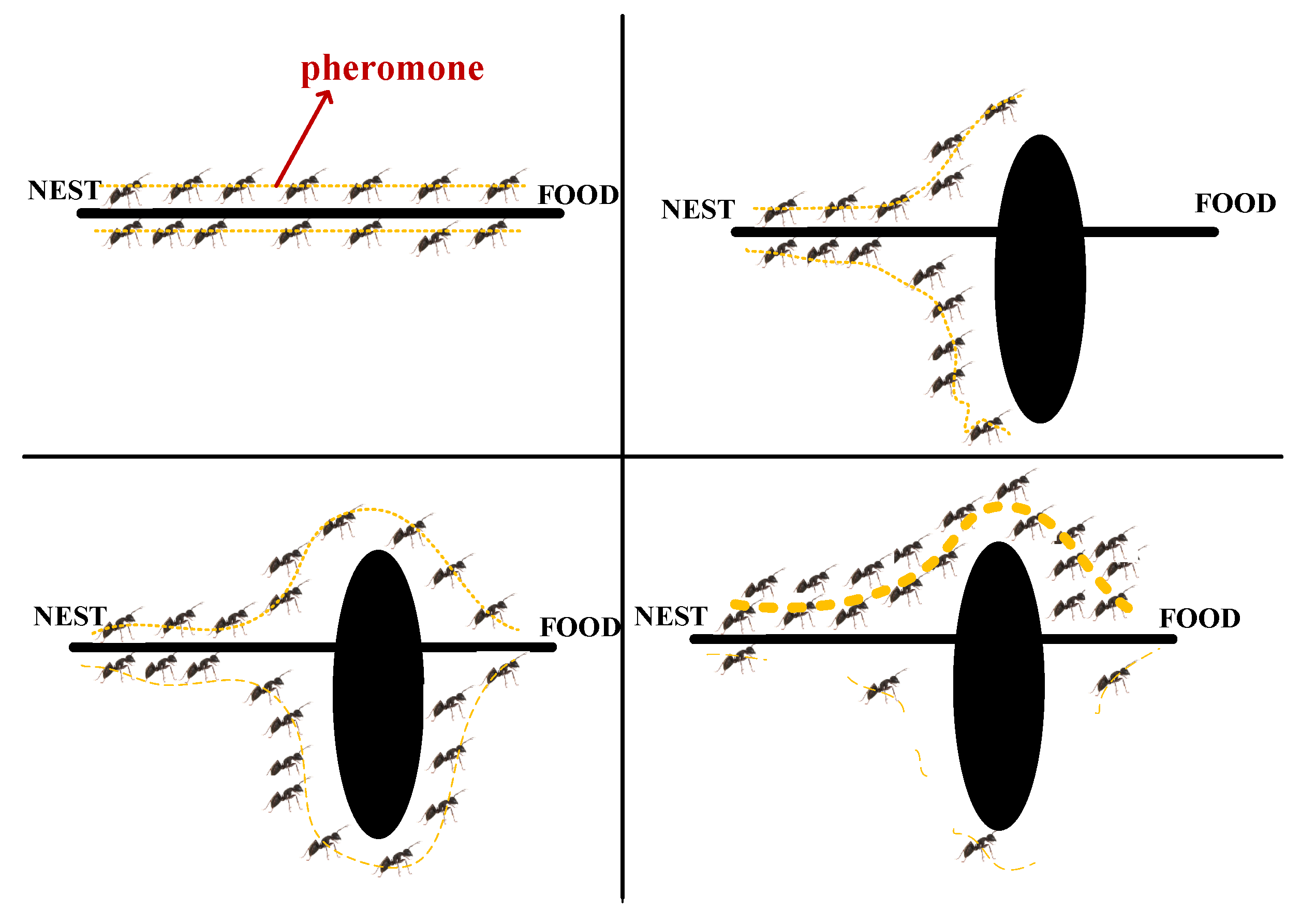 Applsci 15 01165 g010