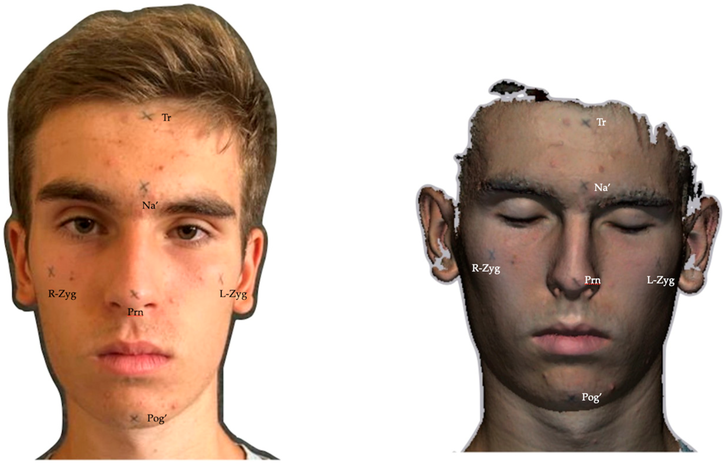 Applsci 15 01191 g001