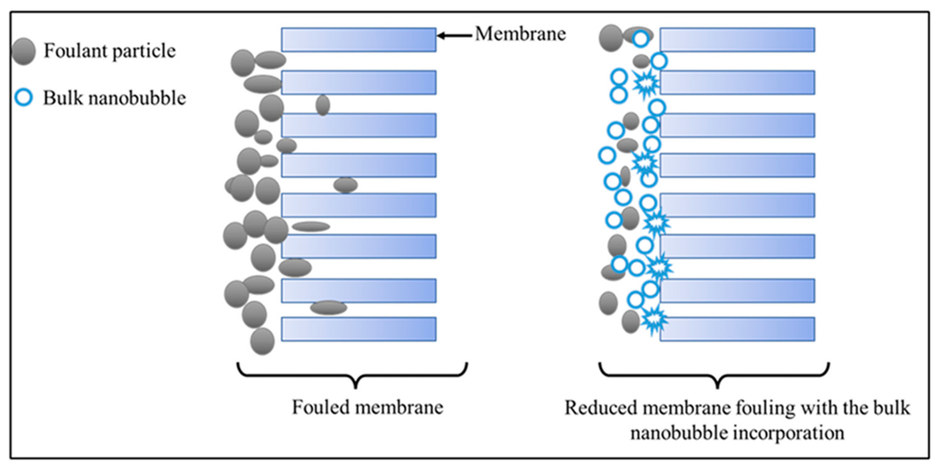 Applsci 15 01197 g006