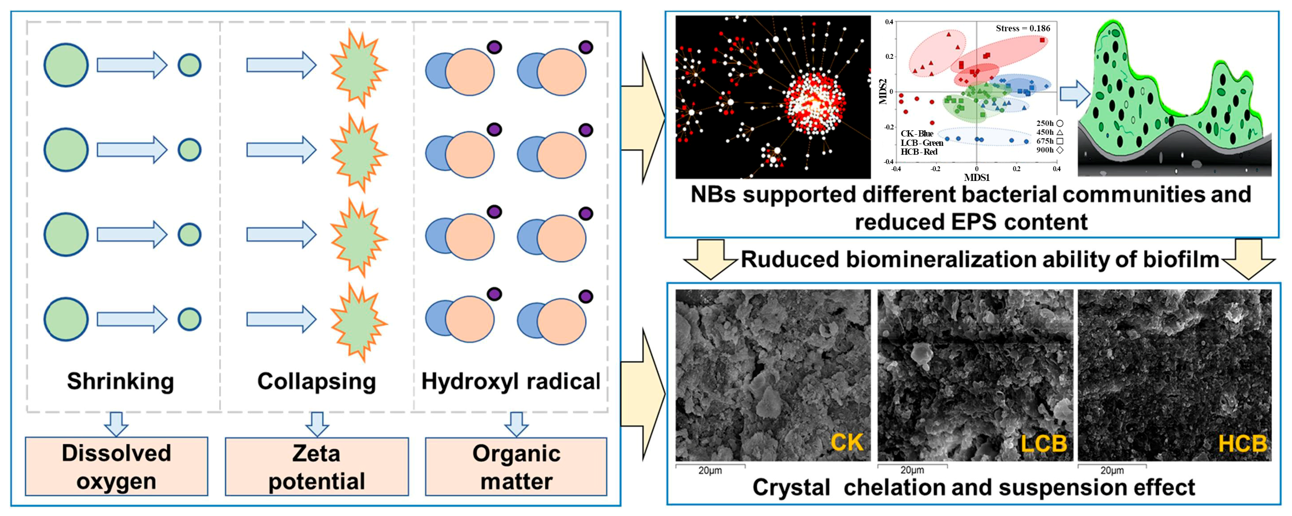 Applsci 15 01197 g014
